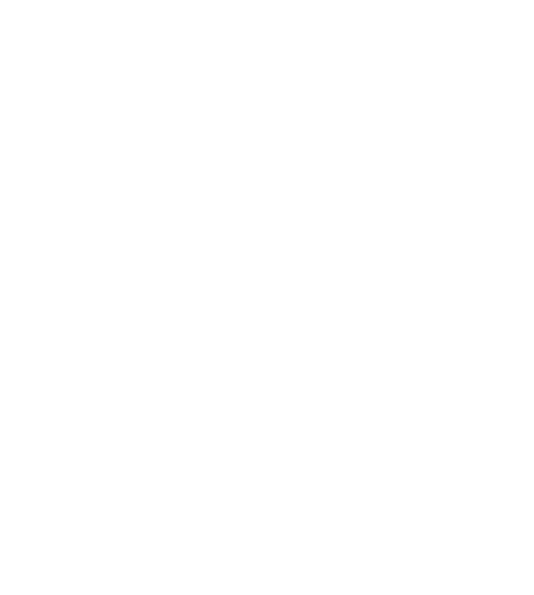VfB-Leitbild