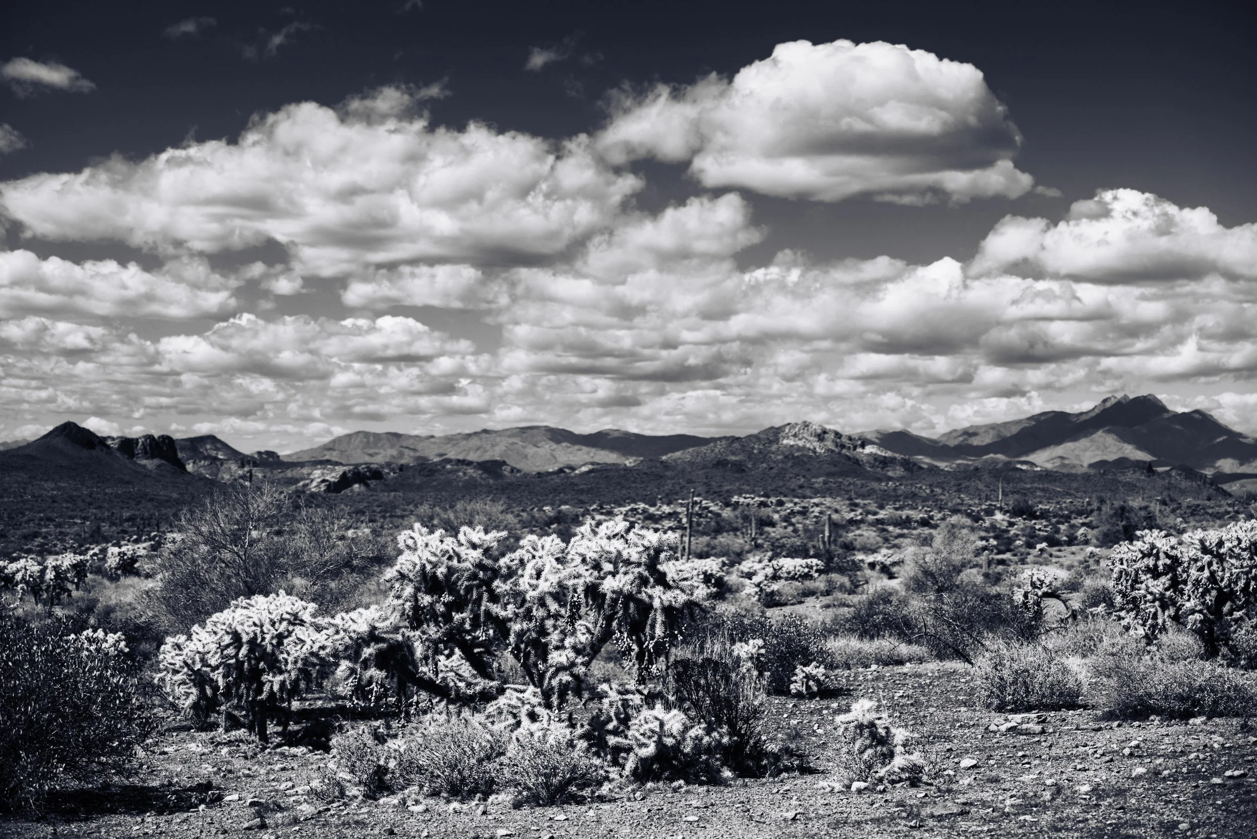 lostdutchman20250420-0028-2.jpg