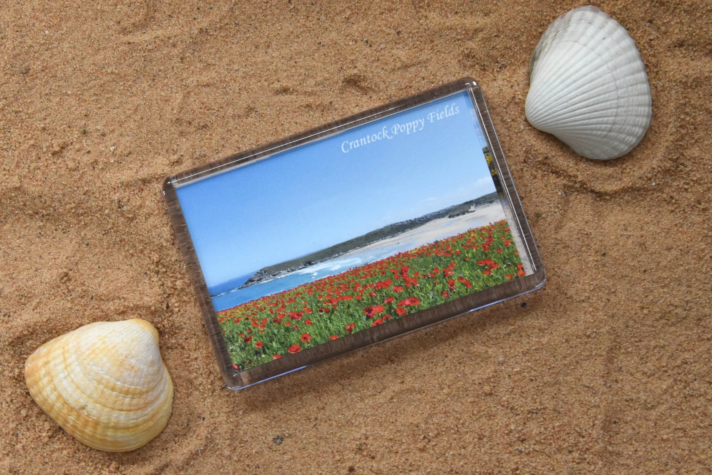 Crantock Poppy Fields magnet