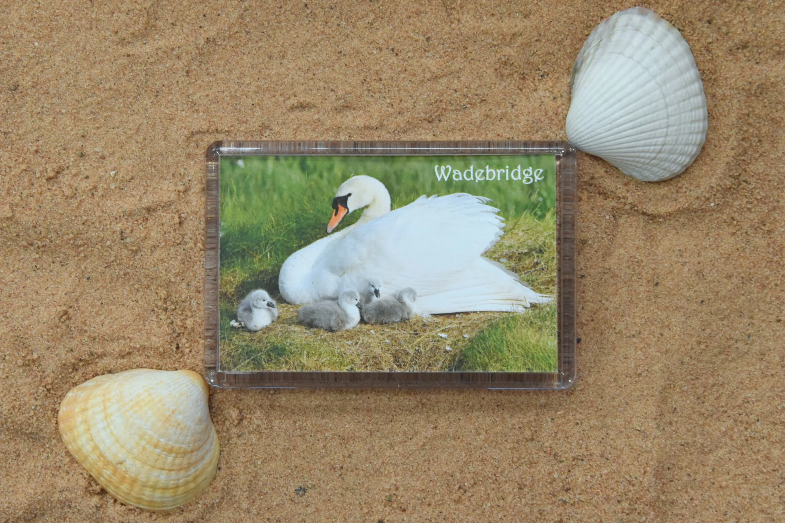 Wadebridge Cygnets Magnet