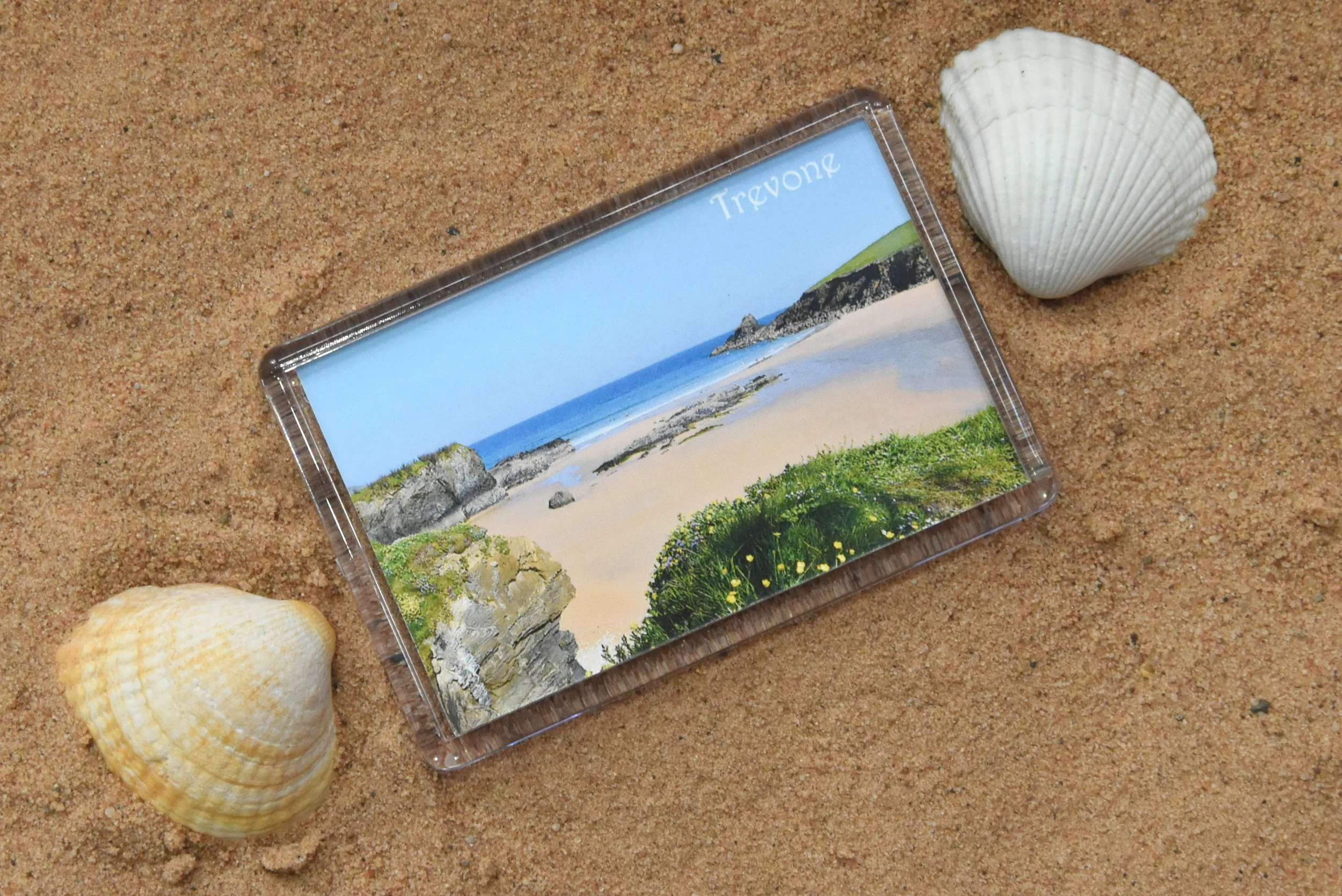 Trevone Magnet