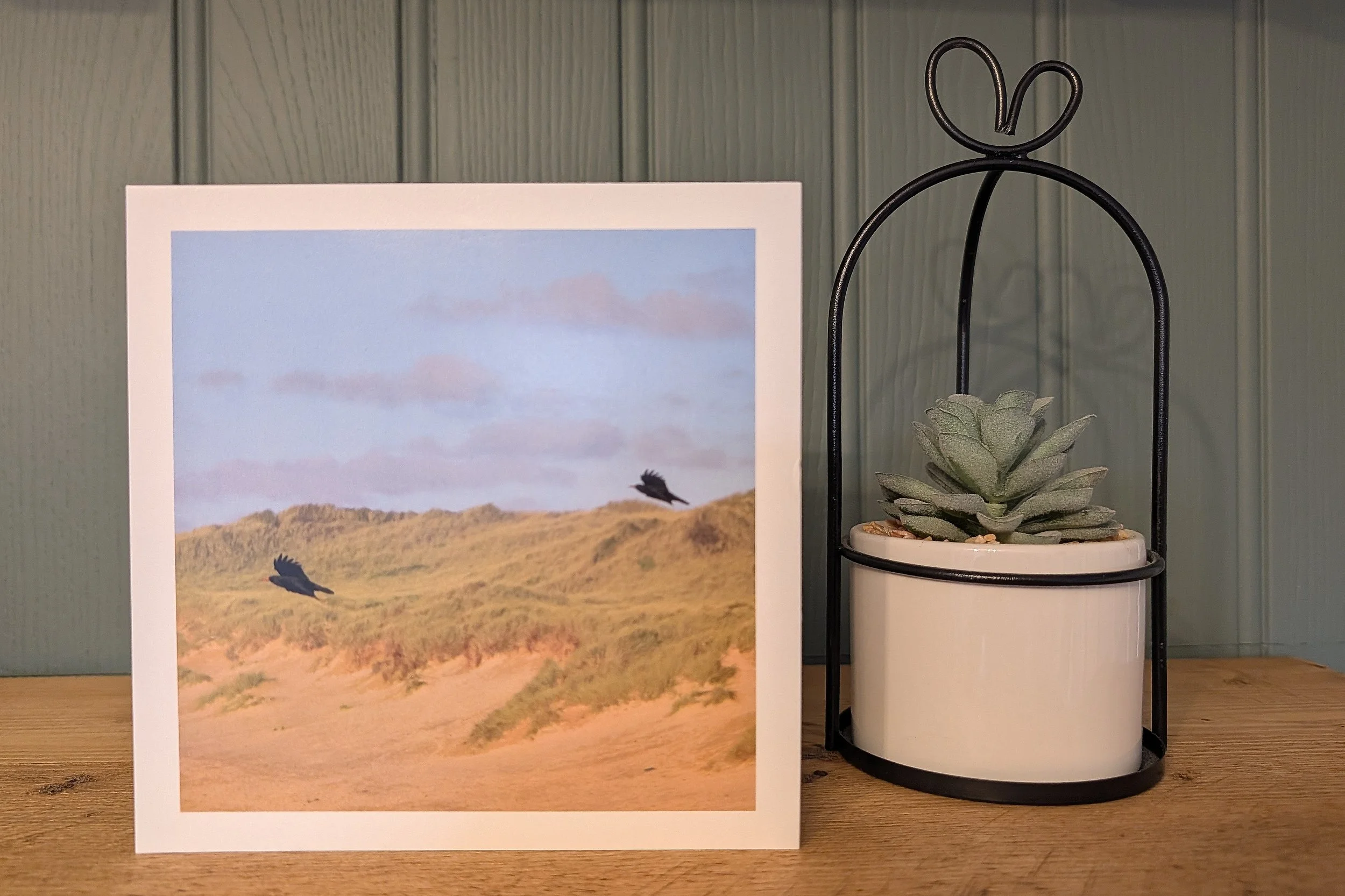 A PAIR CORNISH CHOUGHS CARD - SQUARE
