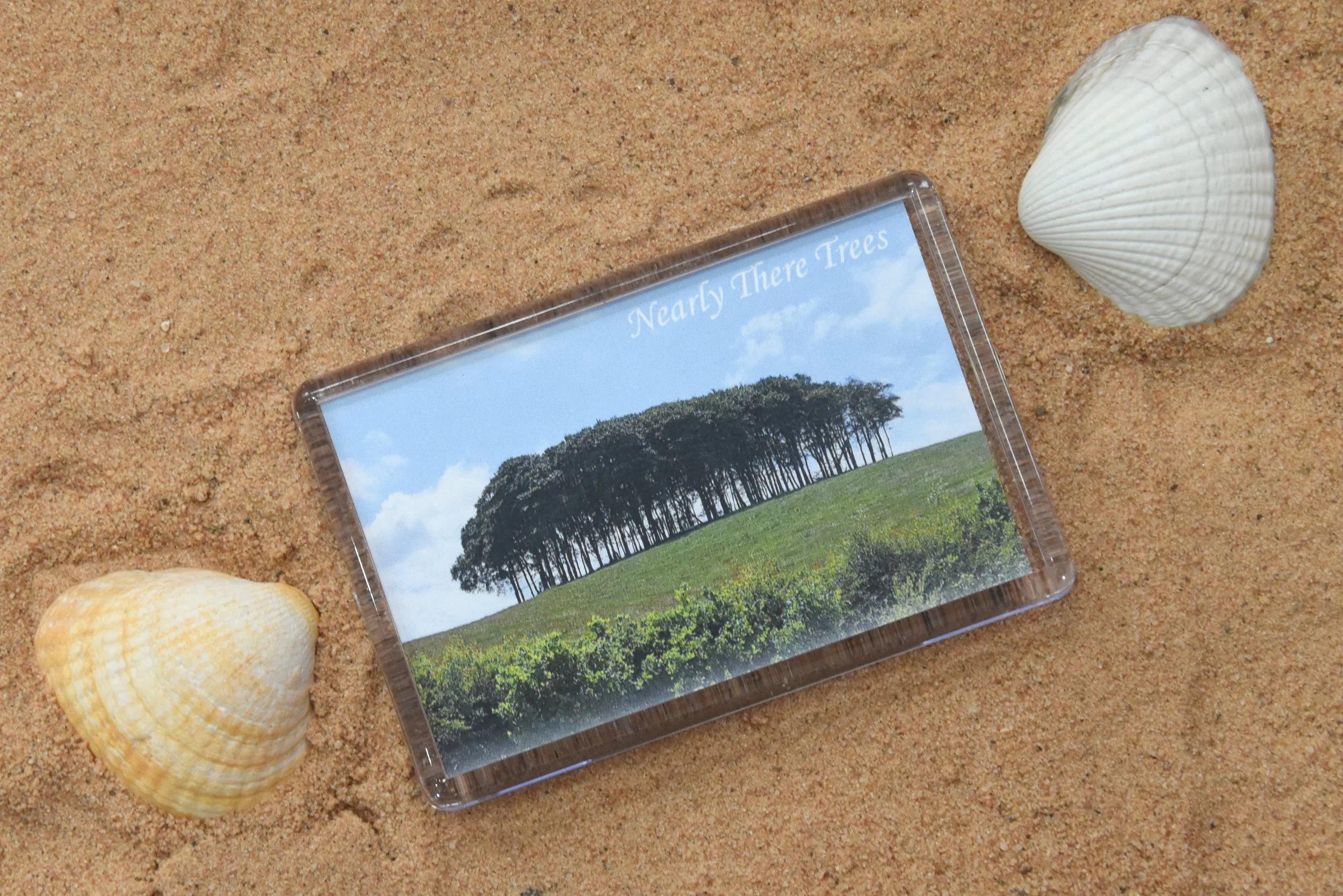 Nearly There Trees Fridge Magnet