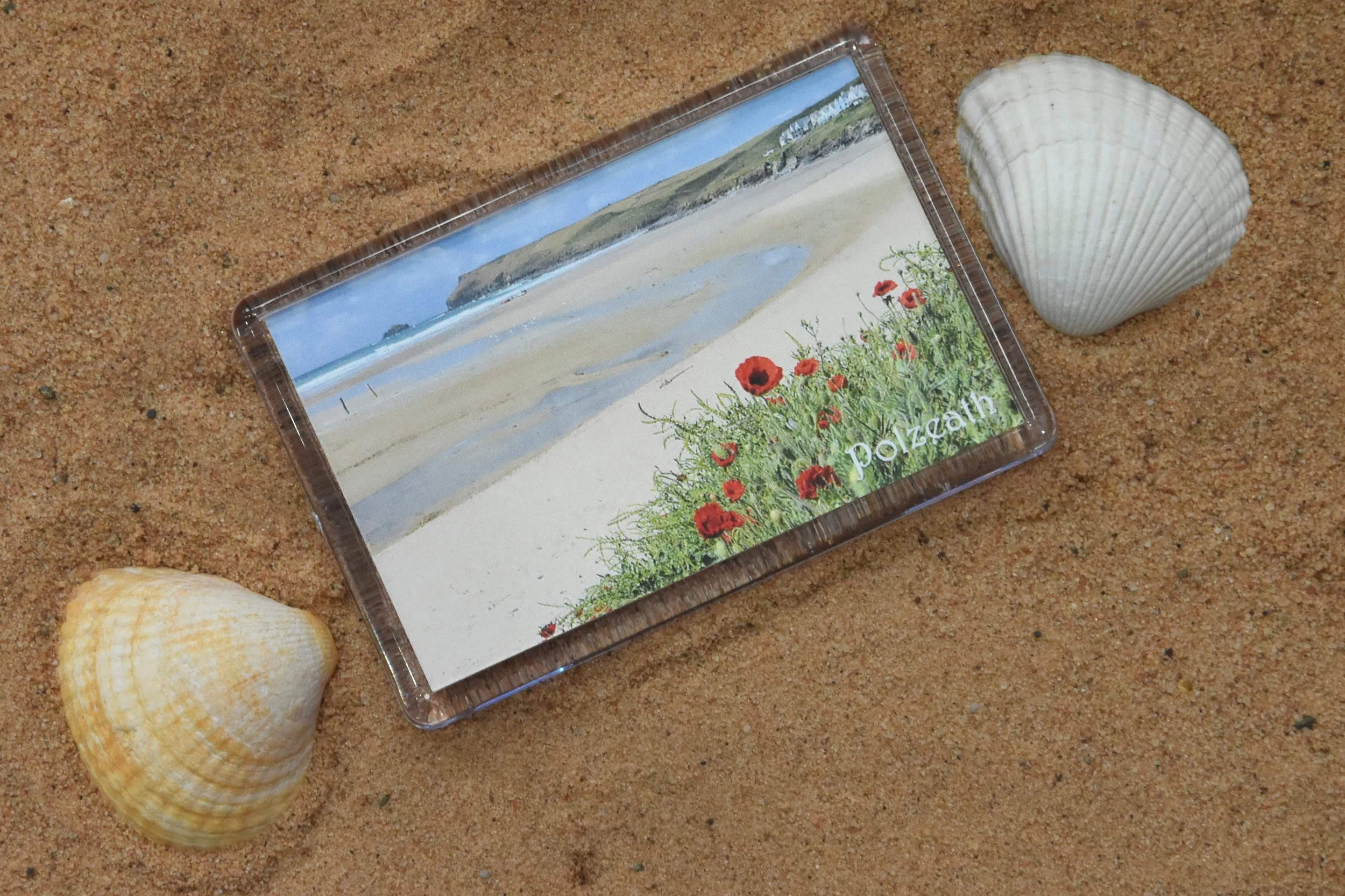 Polzeath Poppies Magnet