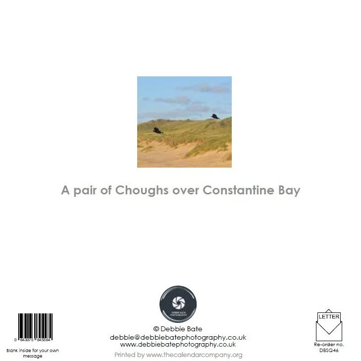 Screenshot 2026-01-021.jpg