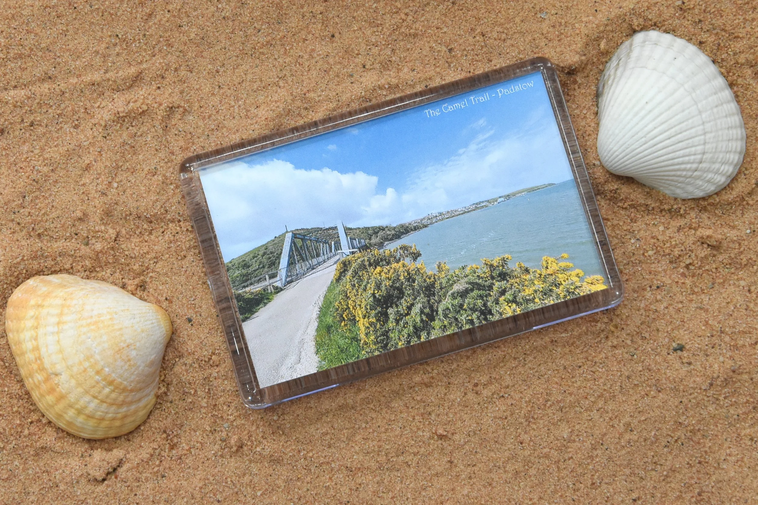 Camel Trail Magnet