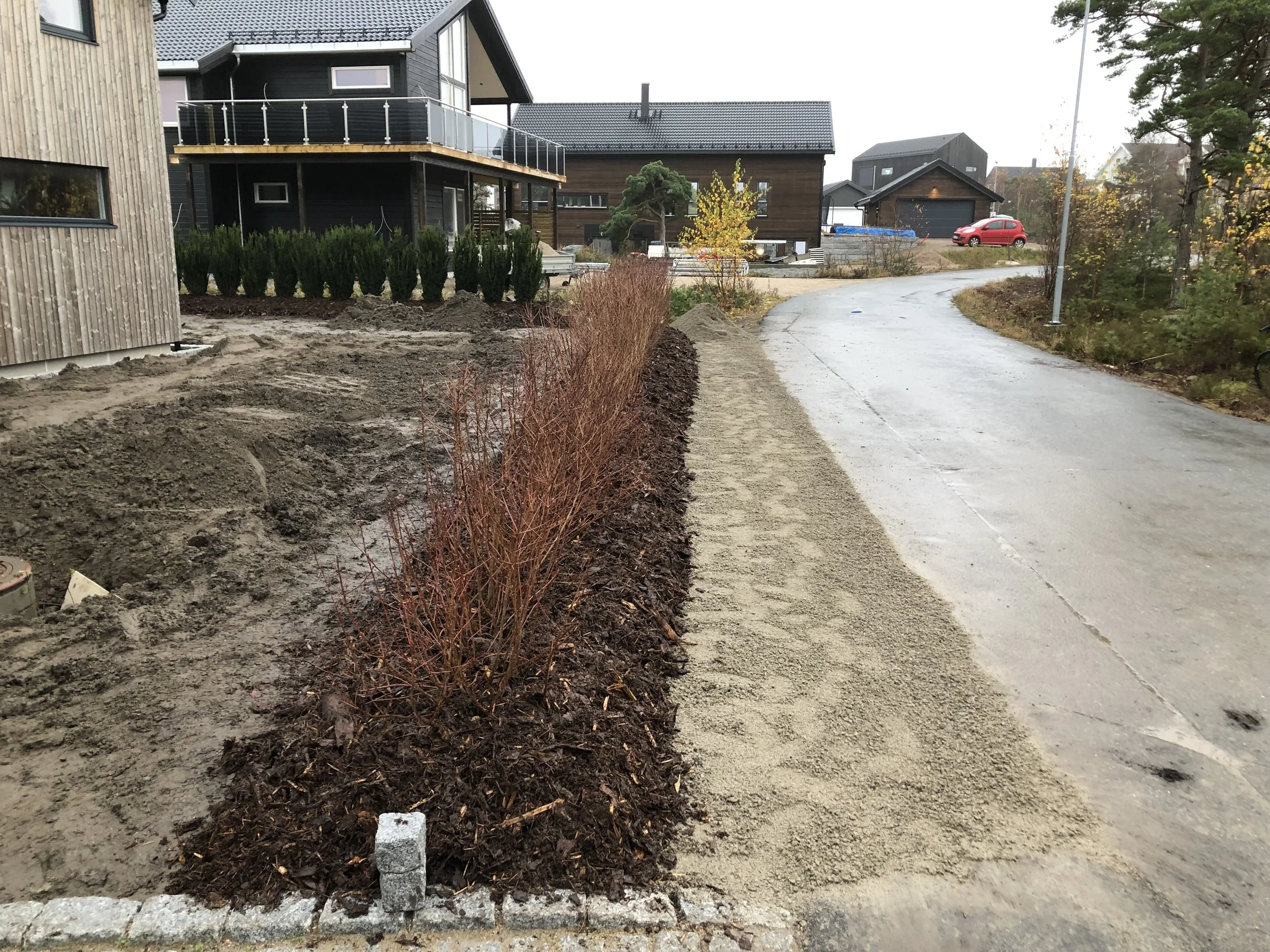 anlegg hekk, ferdig hekk, løvfellende hekk