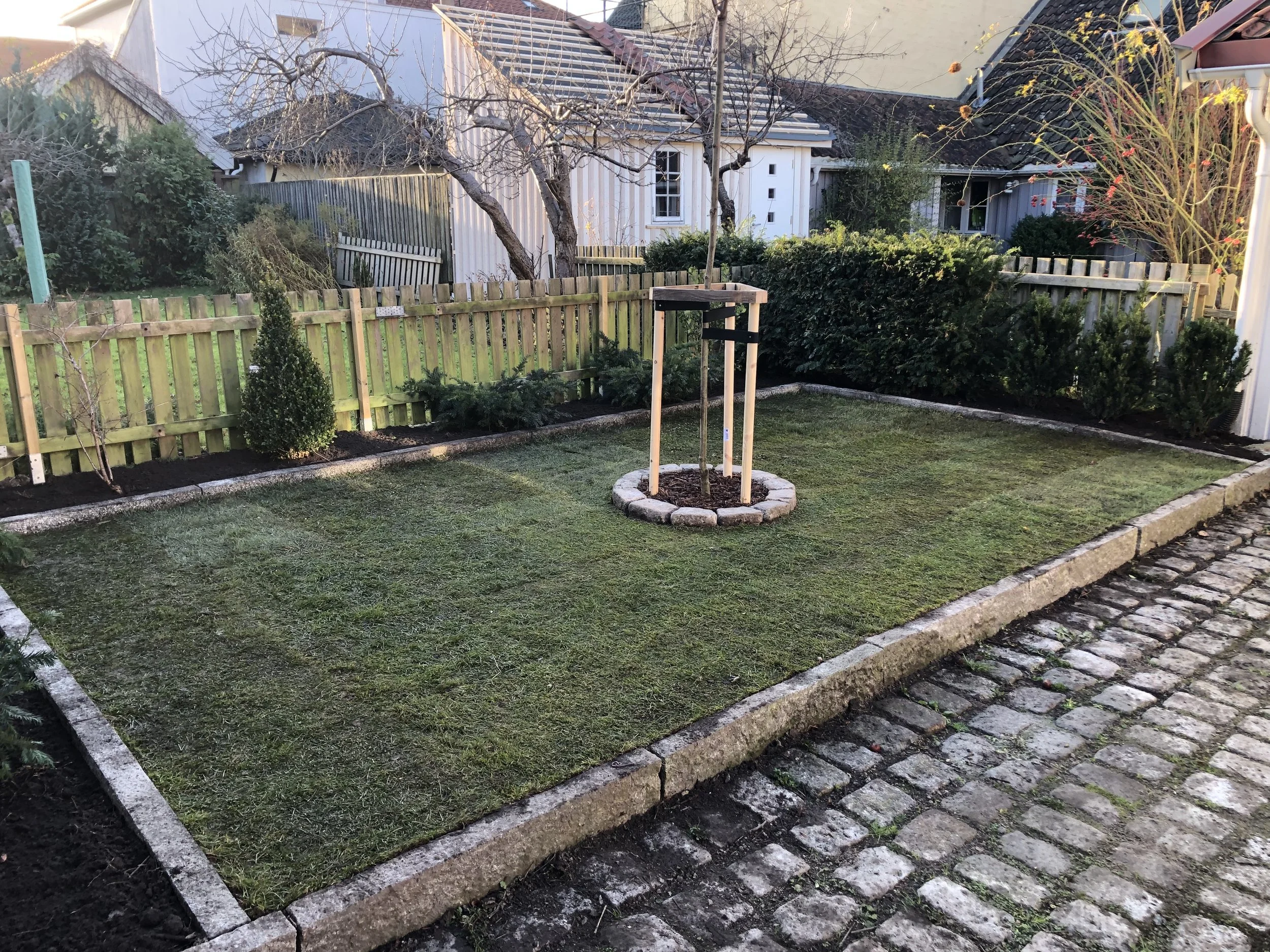 brostein, planting av tre