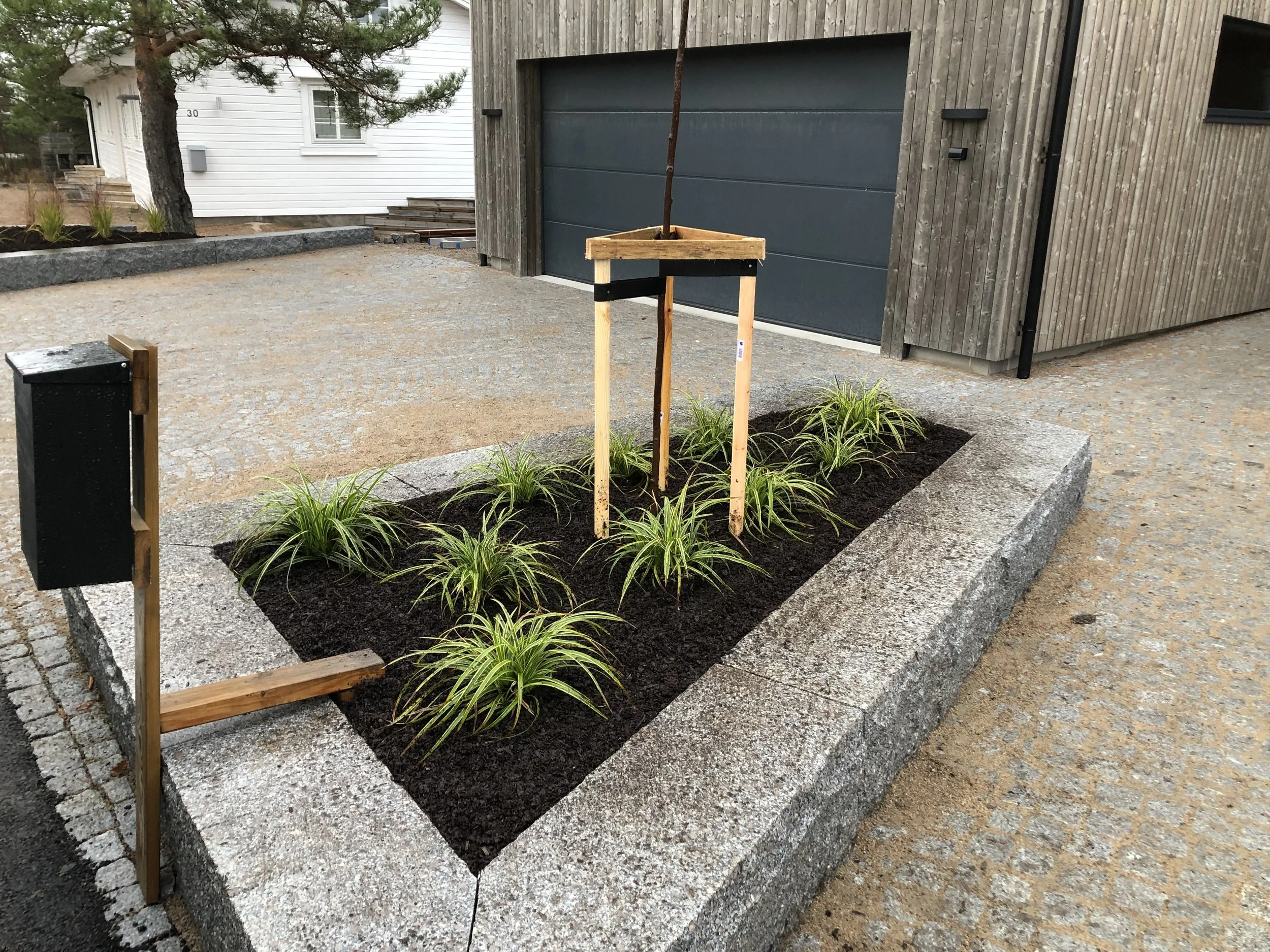 steinkant beplanting prydgress tre