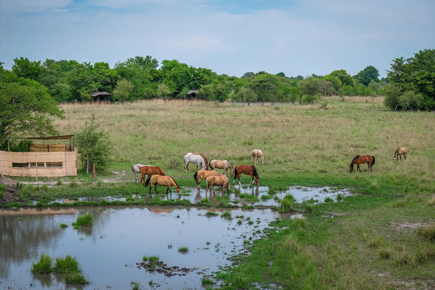Our Wild & Remote Camp — ZAMBIAN HORSEBACK SAFARIS
