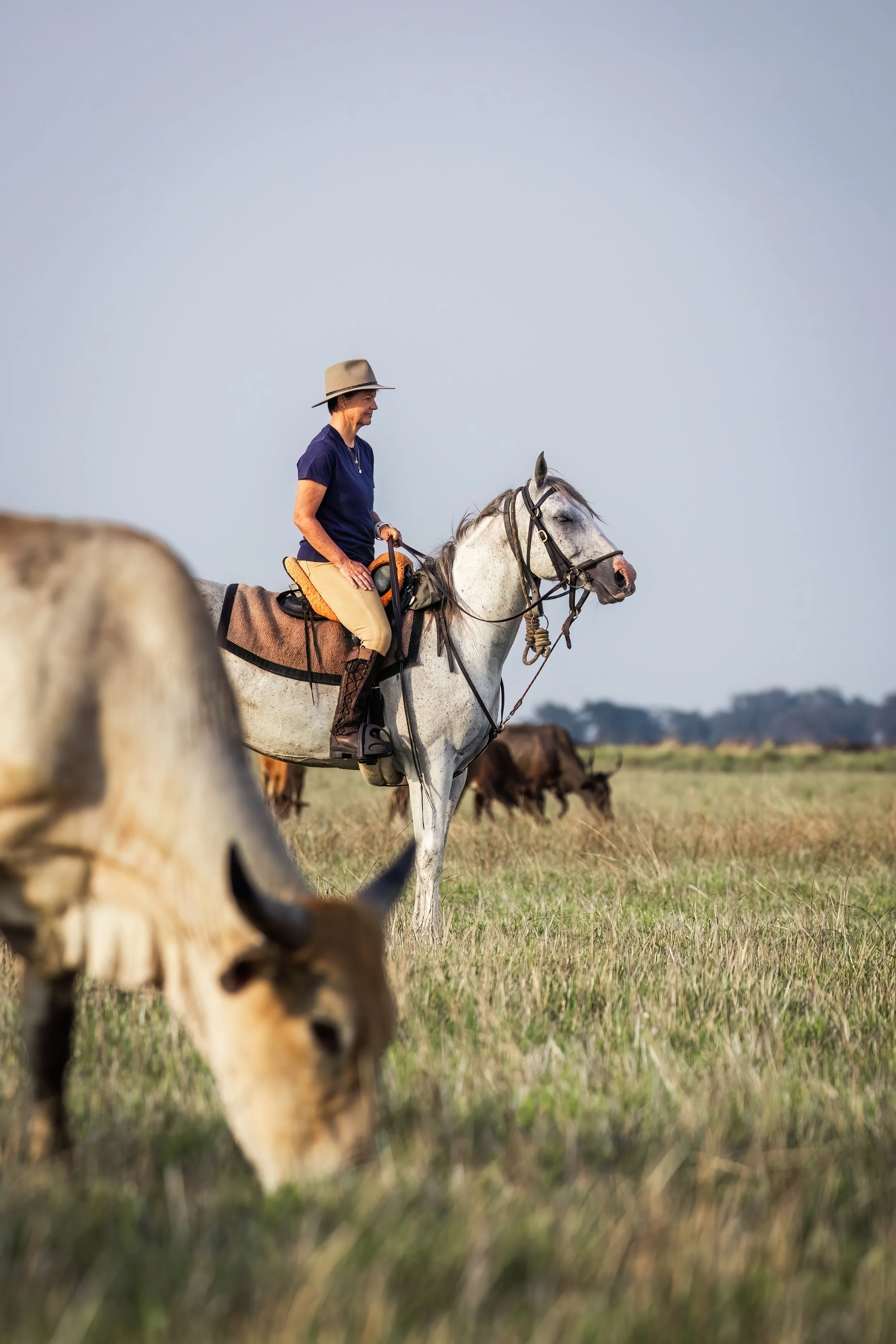 wiki_west_zambian_horseback_safaris-43.JPG