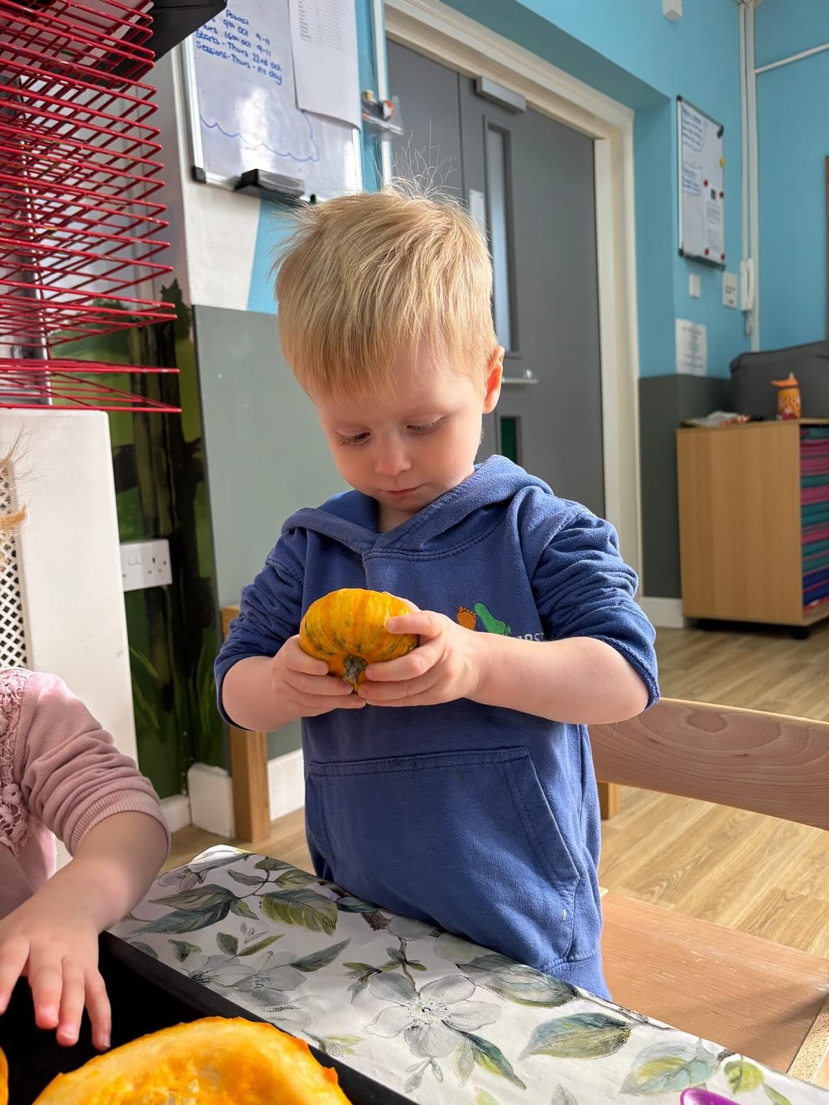 A young boy with blonde hair wearing a blue hoodie holds a small pumpkin and examines it in a classroom or daycare setting.