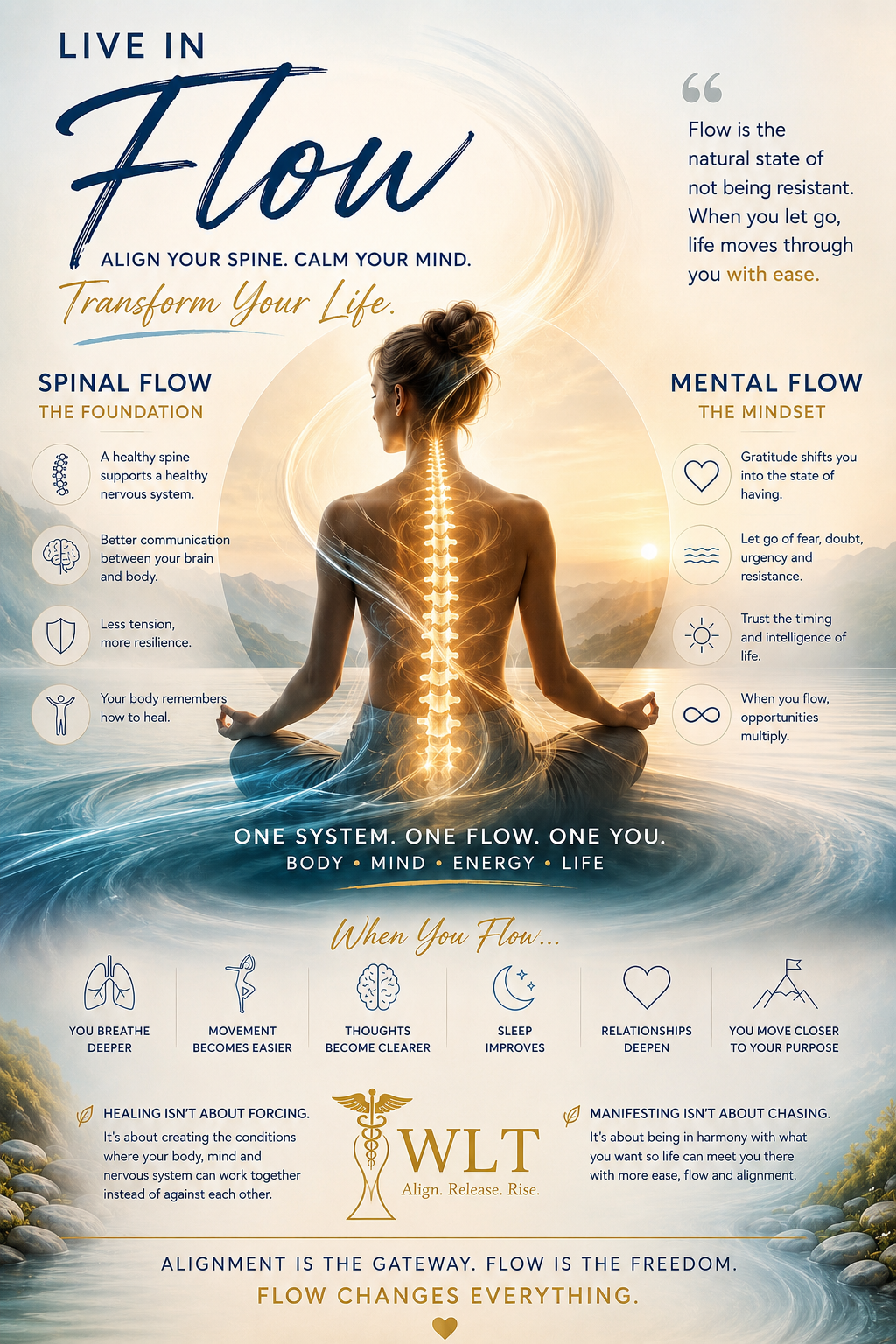 Flow: The Missing Link Between Healing, Manifestation and the Life You Were Born to Live
