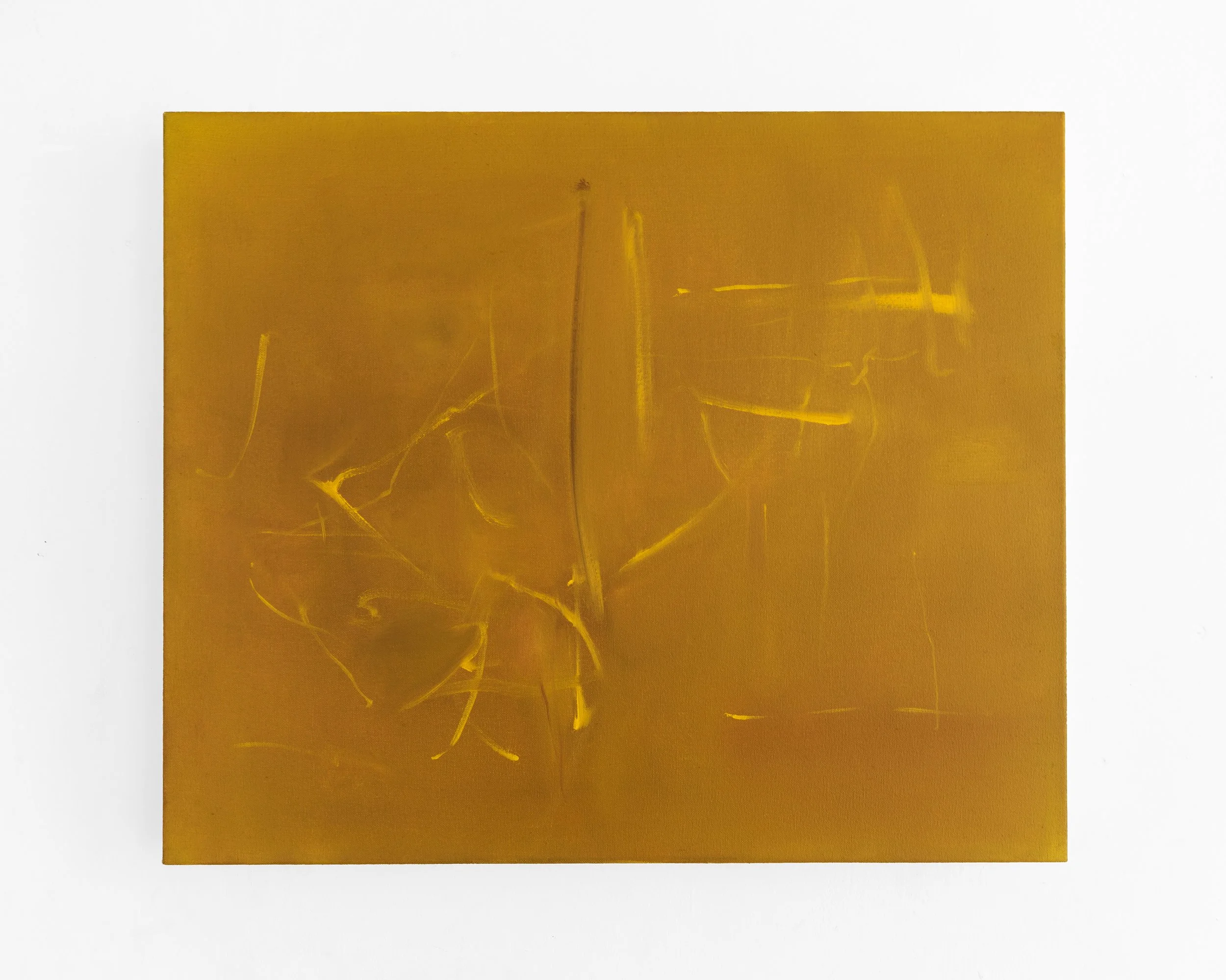 Manual optics, 50 x 60cm, oil on canvas, 2026