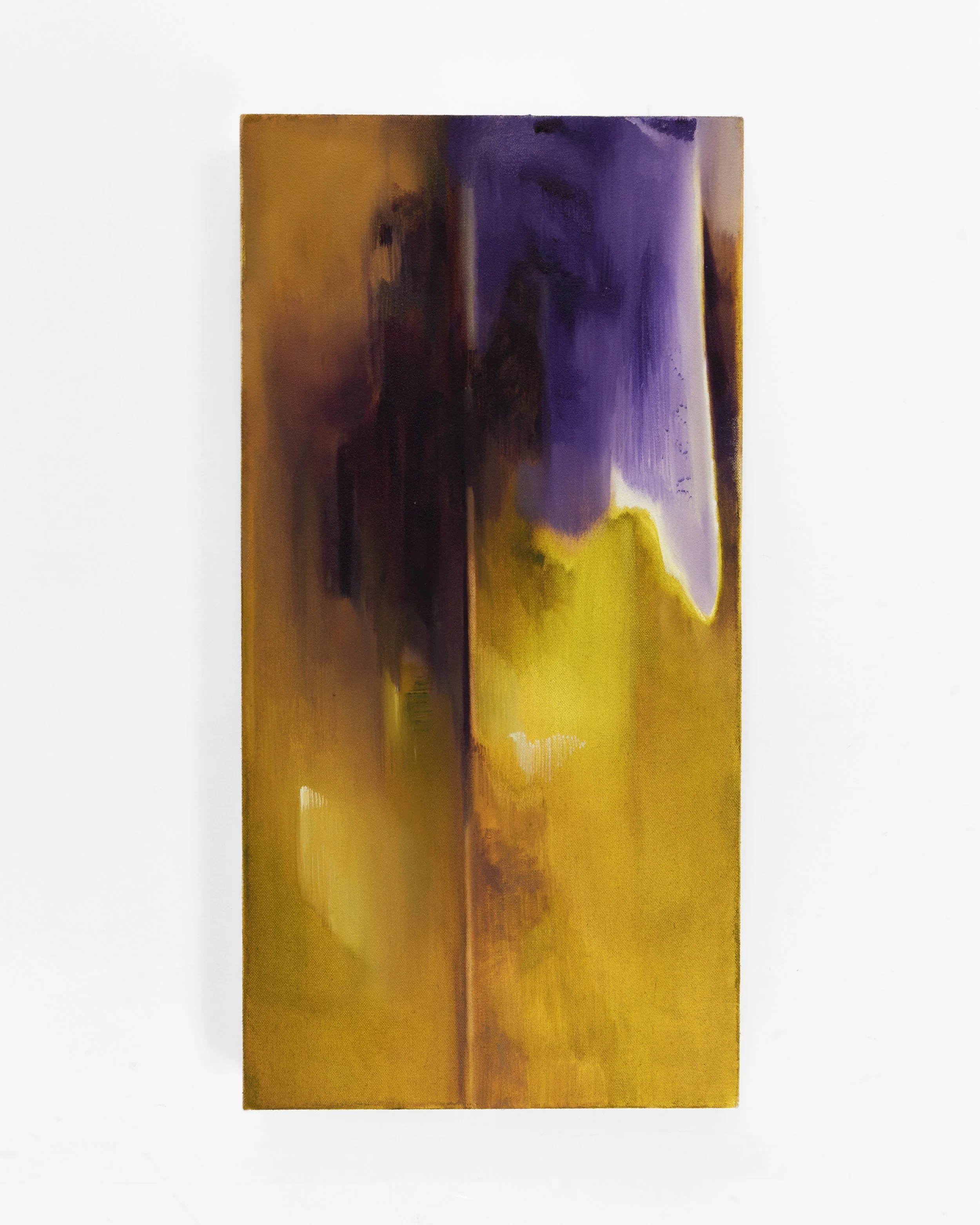 Shape language, oil on canvas, 25 x 50cm, 2025