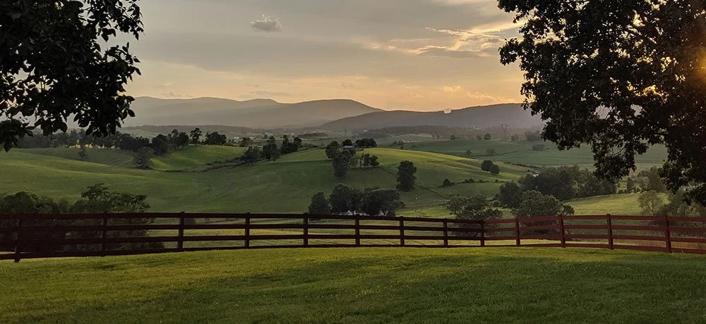 Growing with Biochar: A Training Event for Virginia and Mid-Atlantic Agriculture