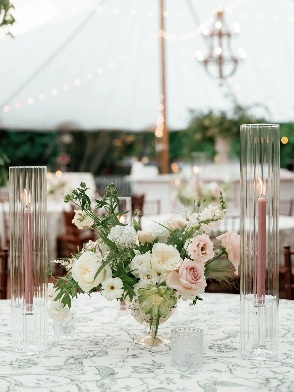 Alex Tenser Photography