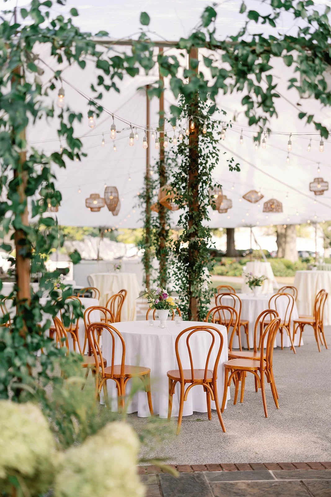 Danielle J Norton Photography