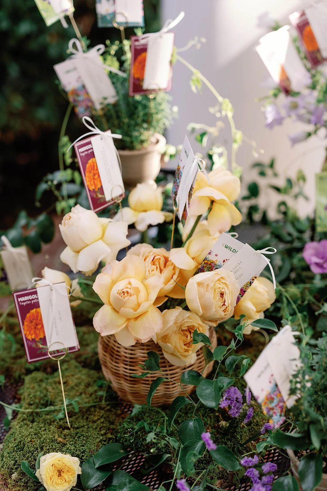 Danielle J Norton Photography