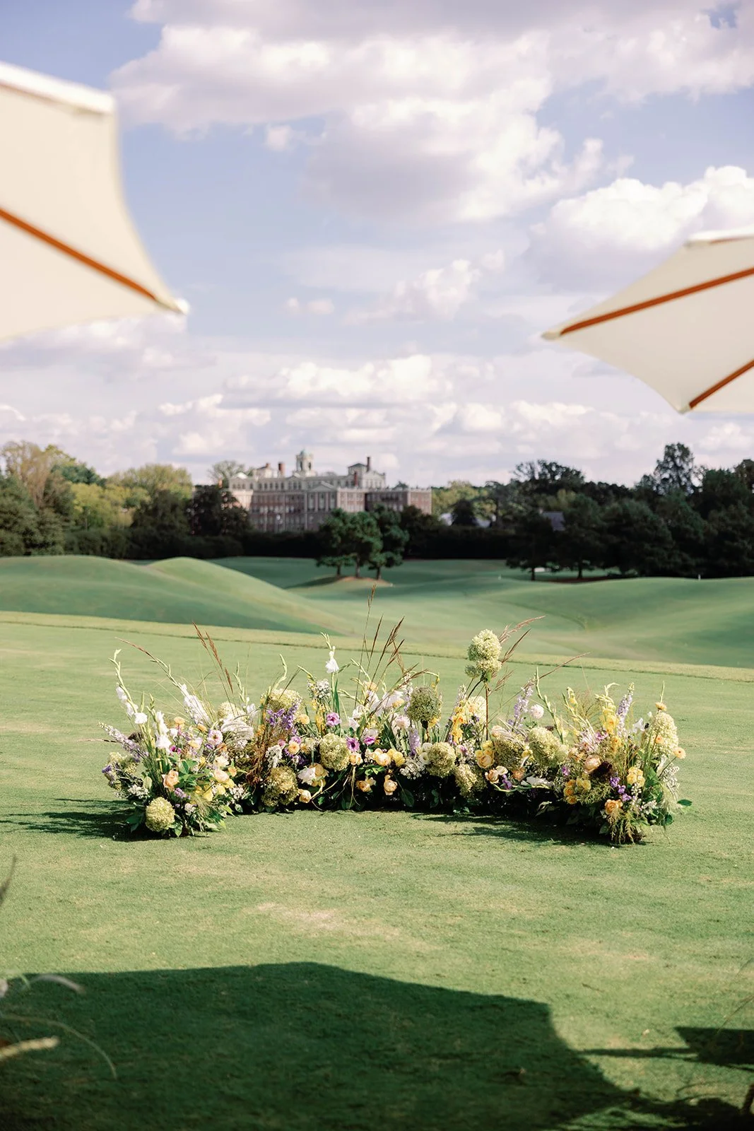 Danielle J Norton Photography