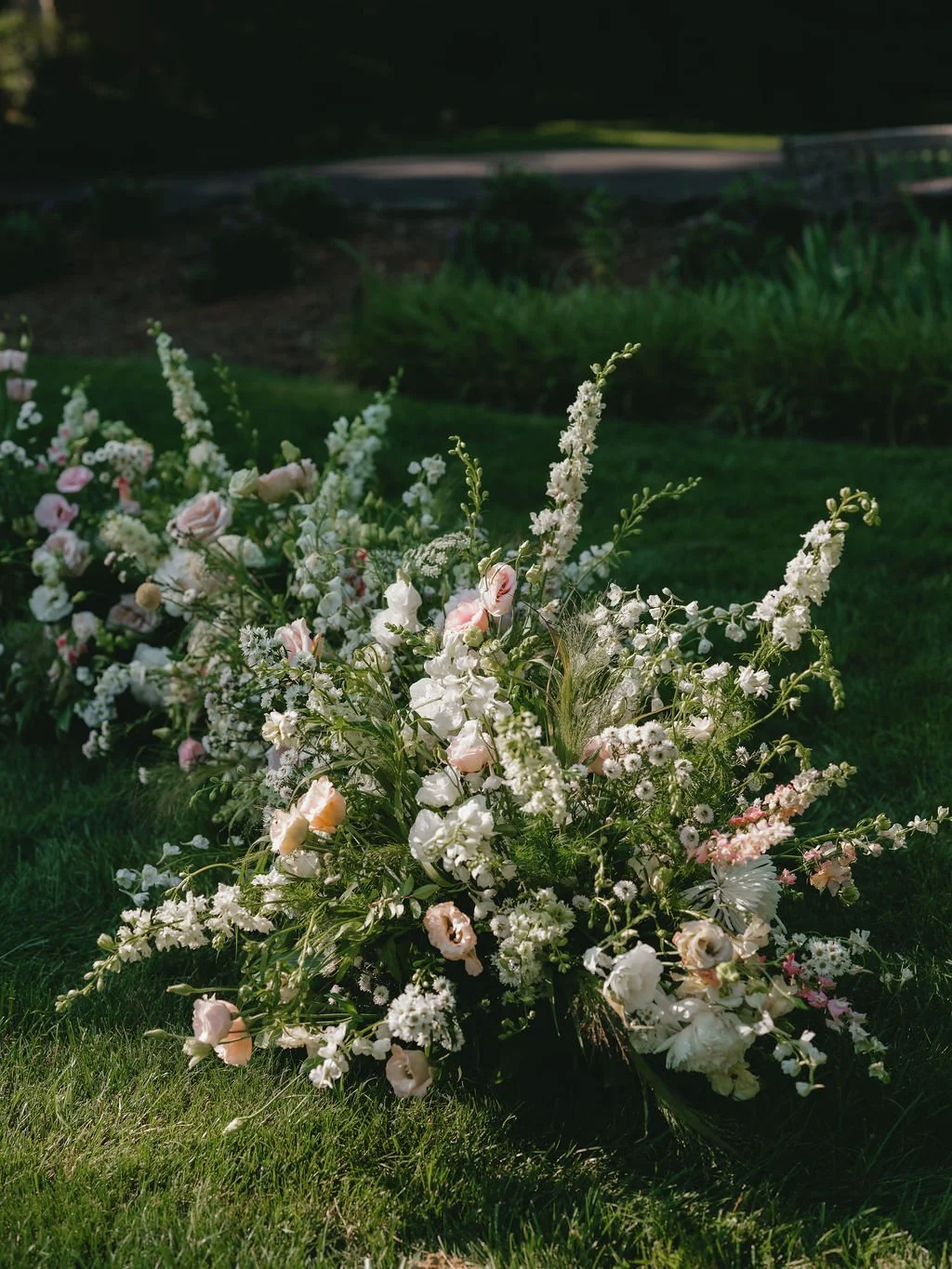 Alex Tenser Photography