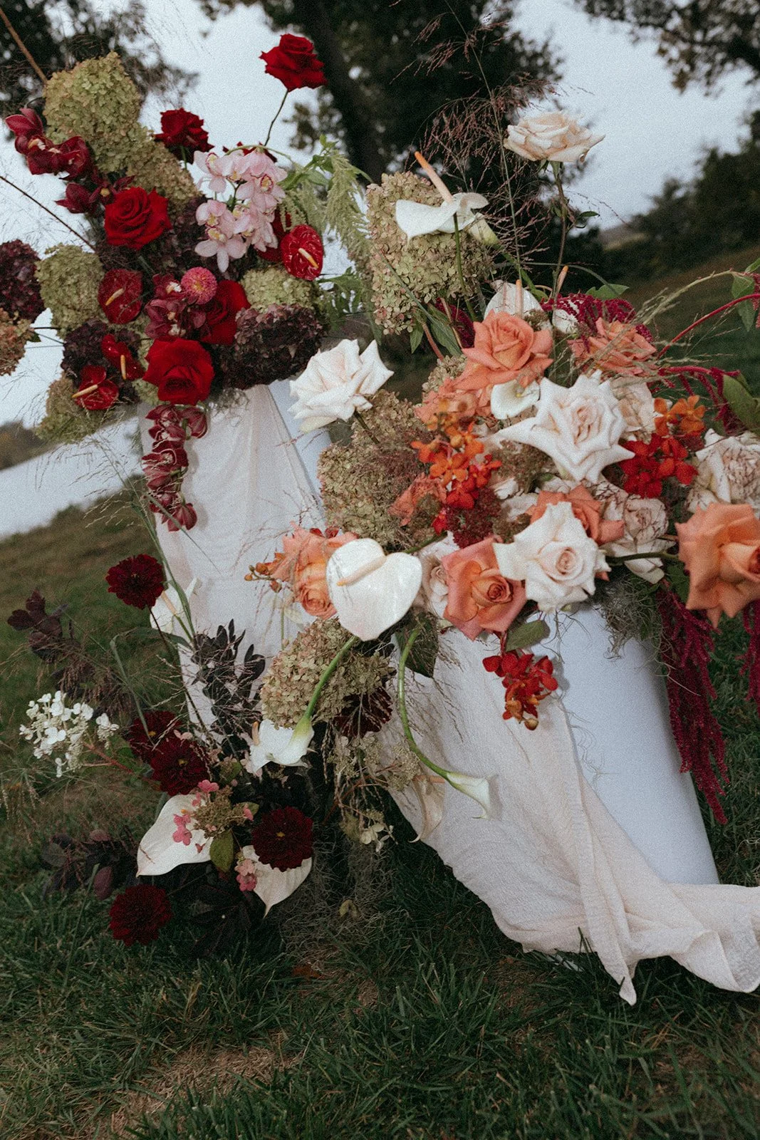 Jessie Walker Photography