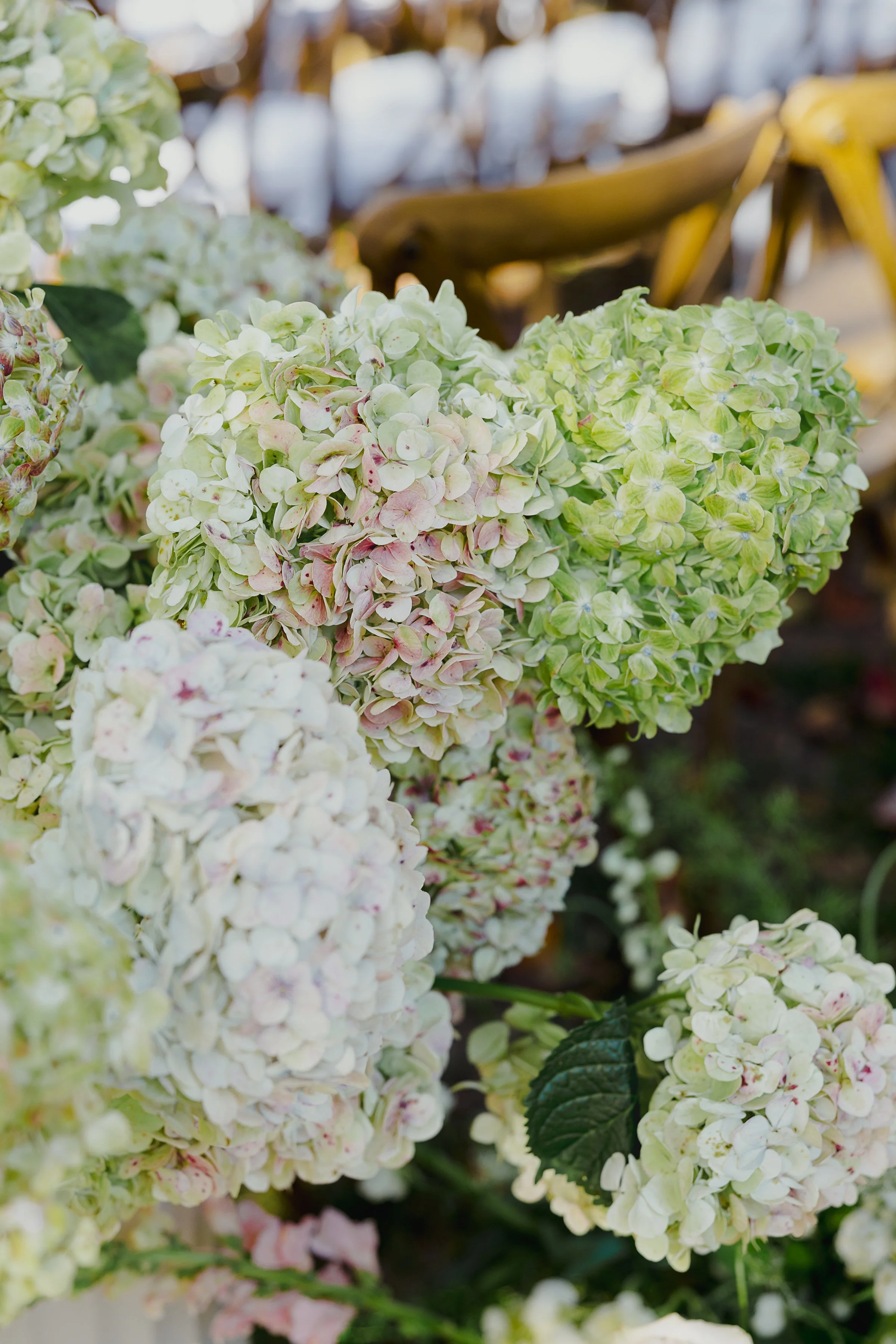 Wedding Floral Services Charlottesville Virginia