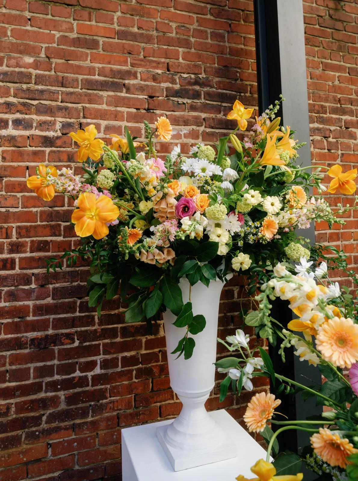 Alex Oswald Photography