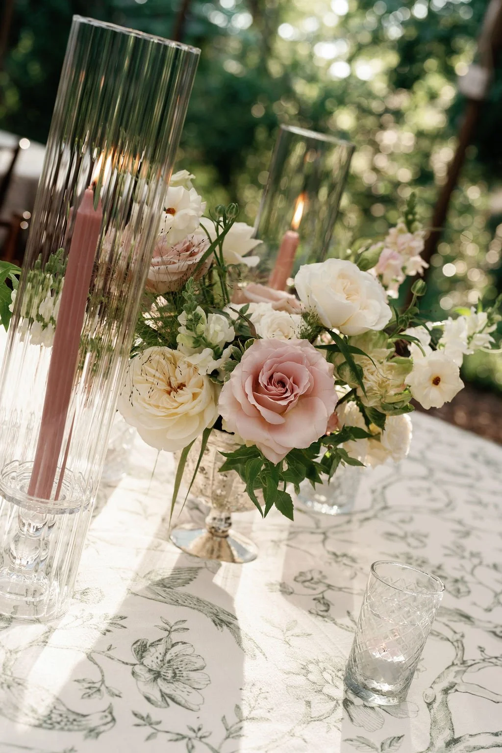 Alex Tenser Photography