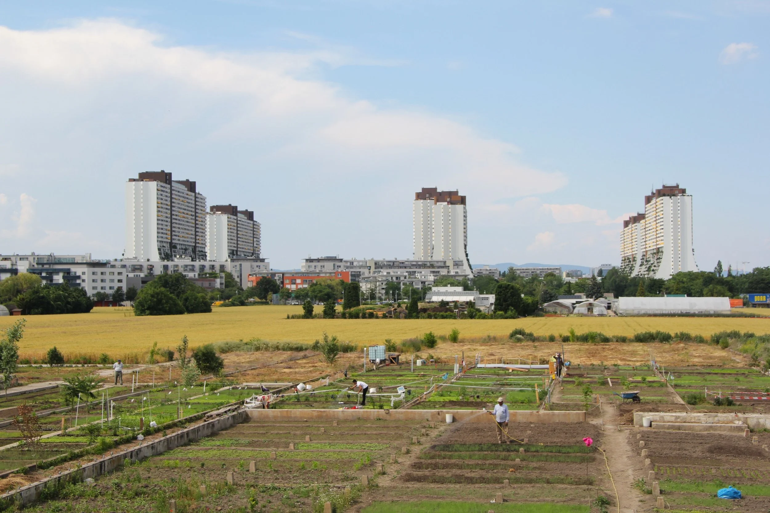 Nachbarschaftsgarten | © Agenda Liesing