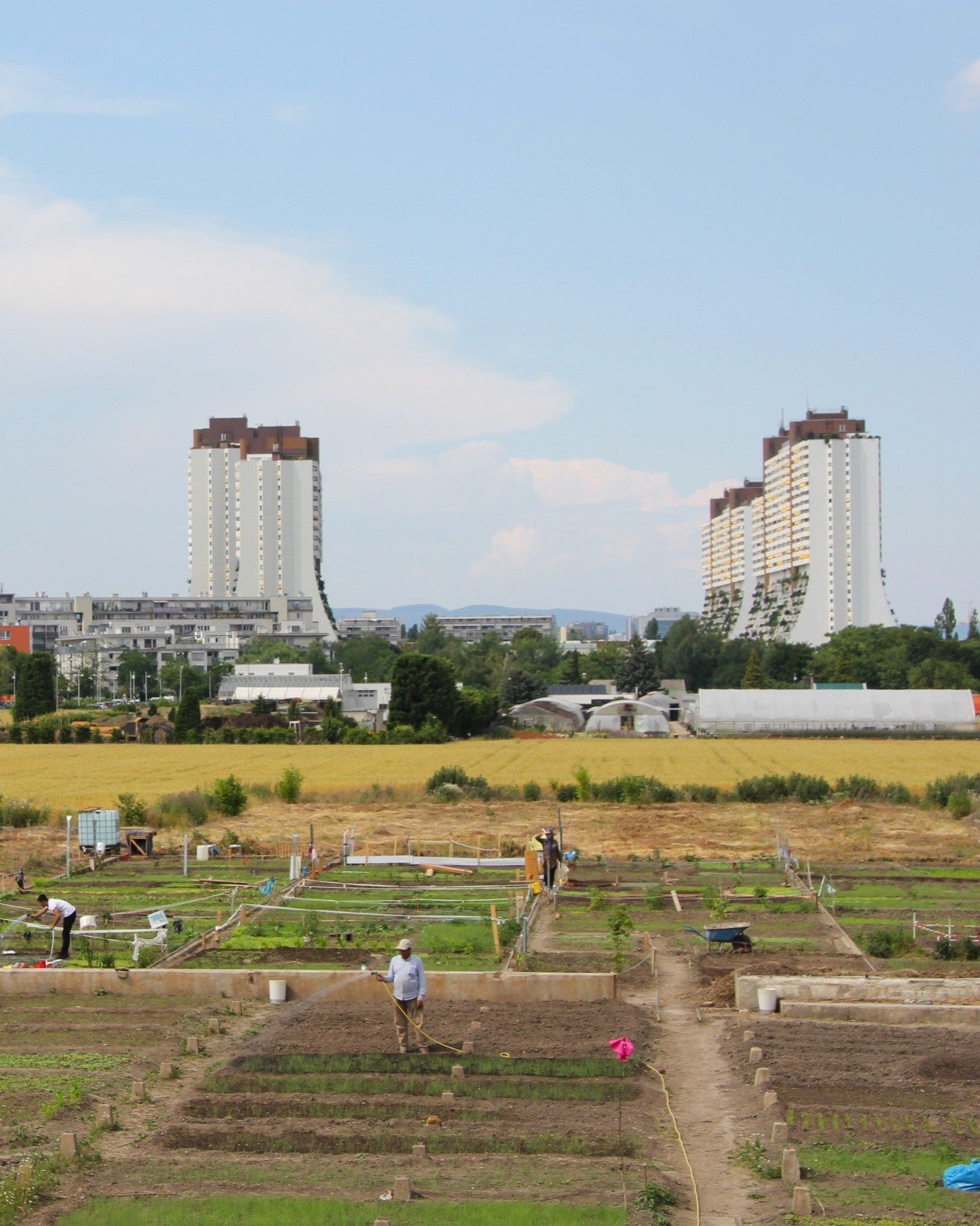 Nachbarschaftsgärten des Grätzllabor Liesing