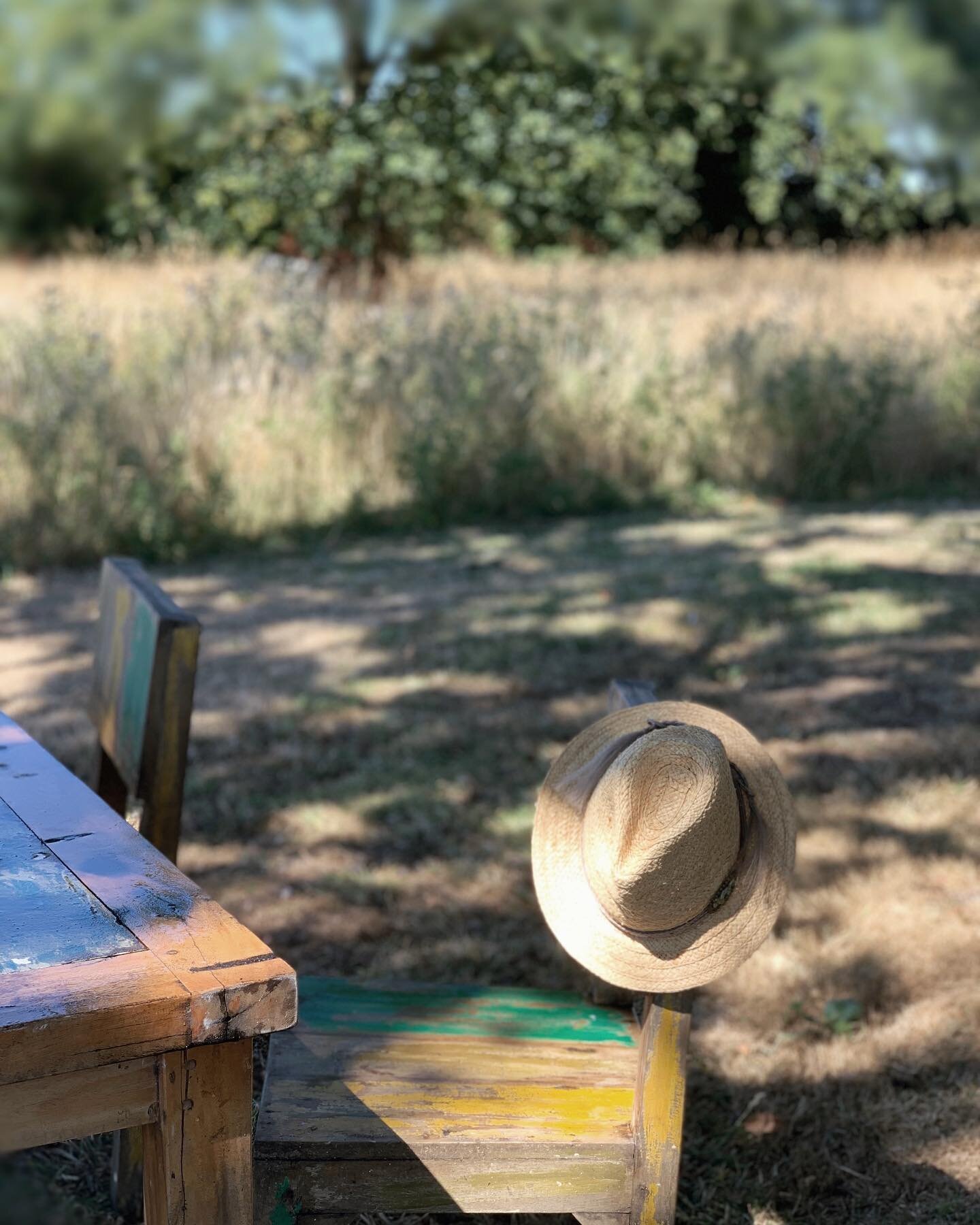 S L O W  S I M P L E  D A Y S

&bull; m e d i t a t e &bull;

One of my favourite places to sit this summer, draped in dappled shade of the ancient oak. Sometimes to sketch and paint, sometimes just to pause or both. Slowly close the eyes, breathe an