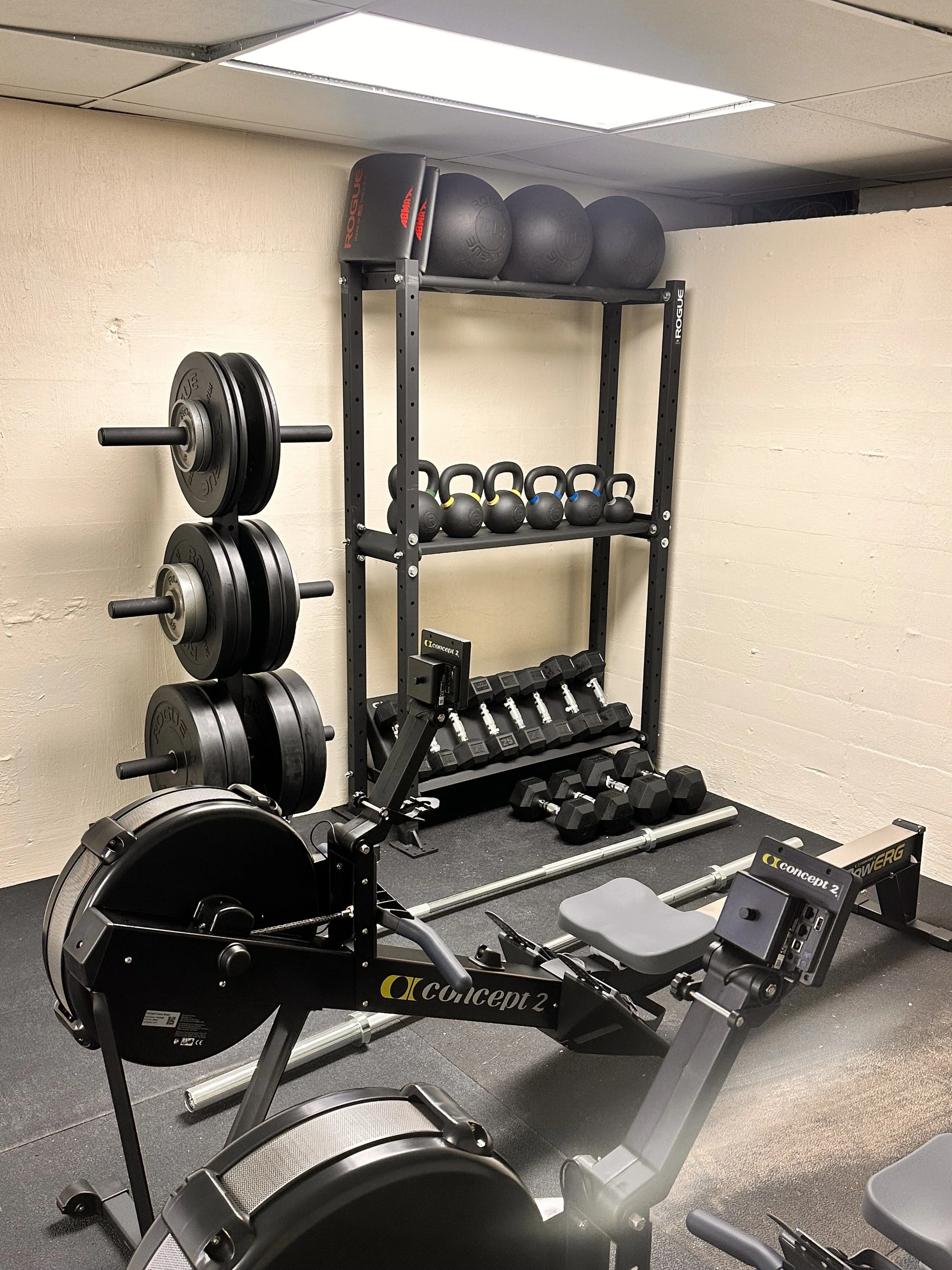 Home gym with weight rack, kettlebells, medicine balls, dumbbells, and a rowing machine.