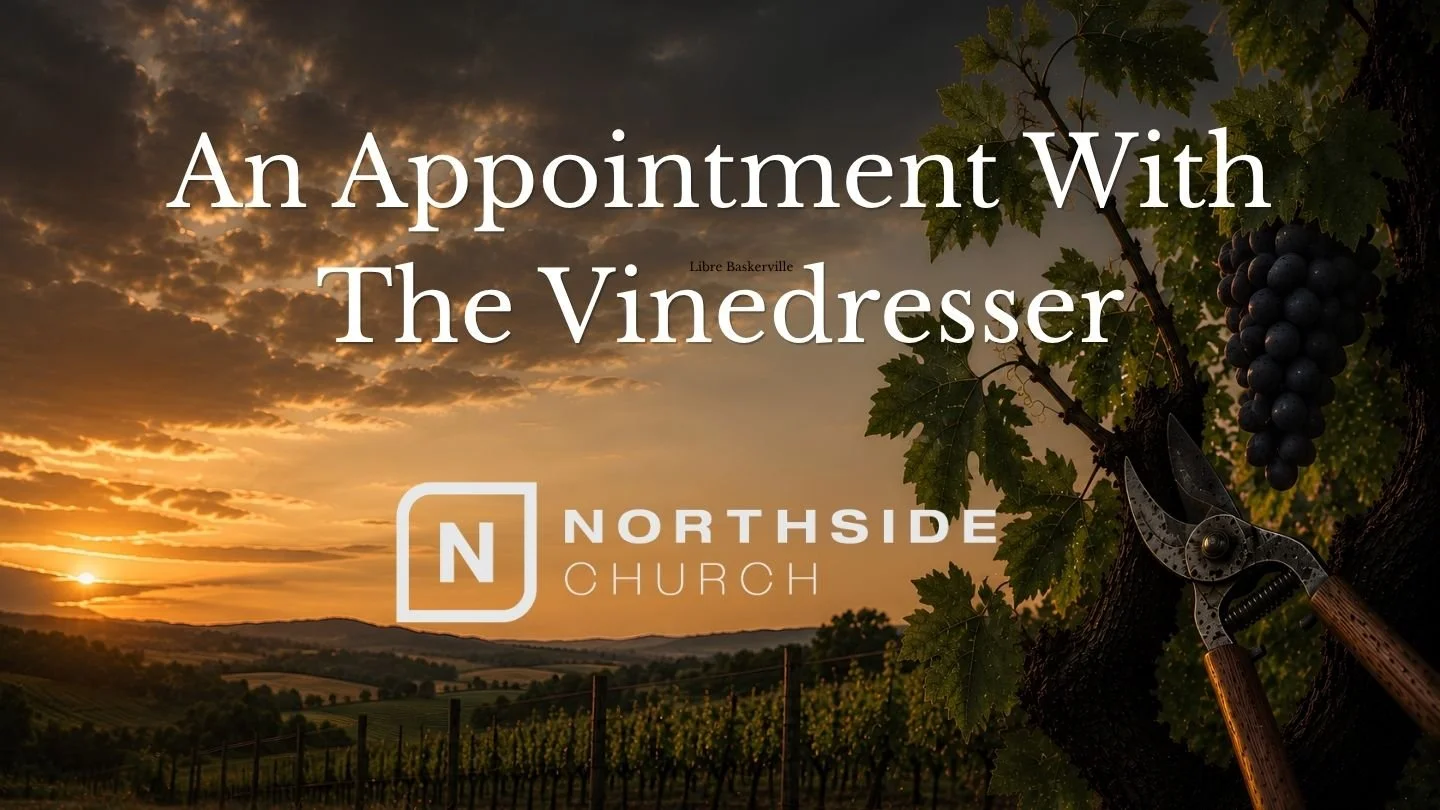 An Appointment With the Vinedresser