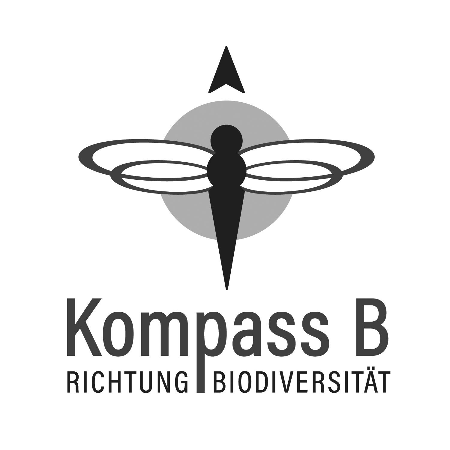 Kompass B sw.jpg