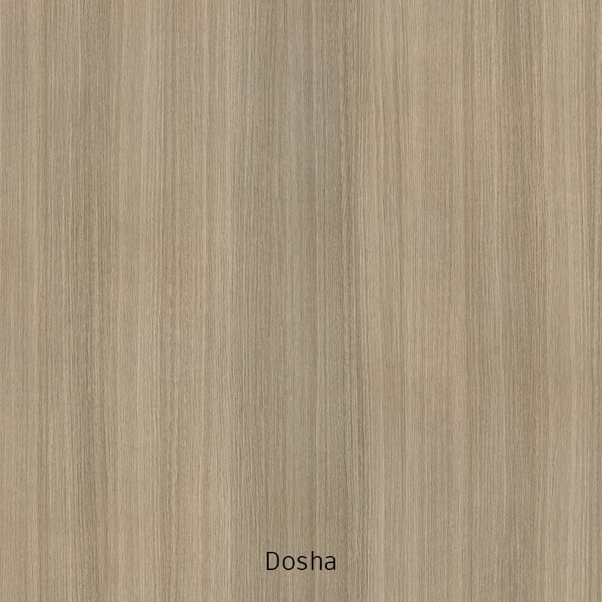 DOSHA-WEB.jpg