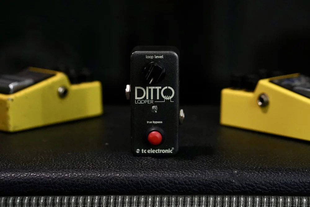 機材整理祭！】その58 TC ELECTRONIC DITTO+ 【公式通販】