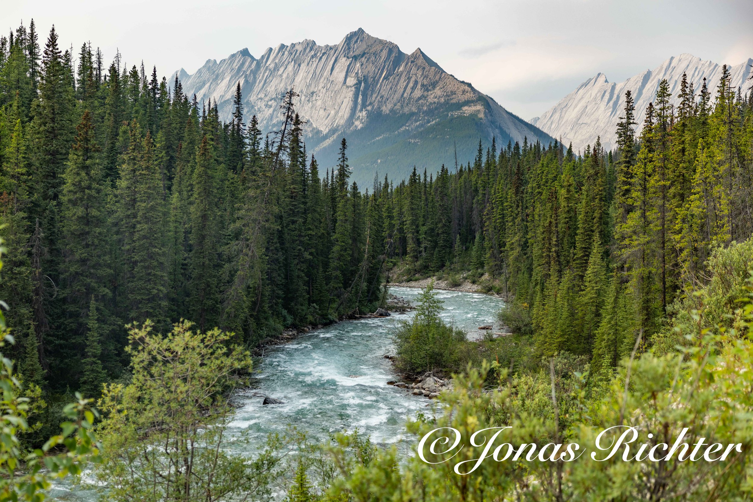 Moraine River, Jasper National Park