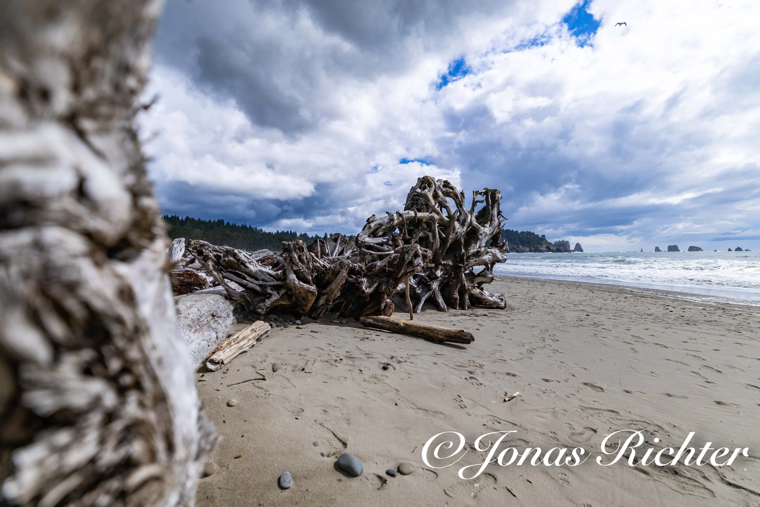 First Beach, La Push