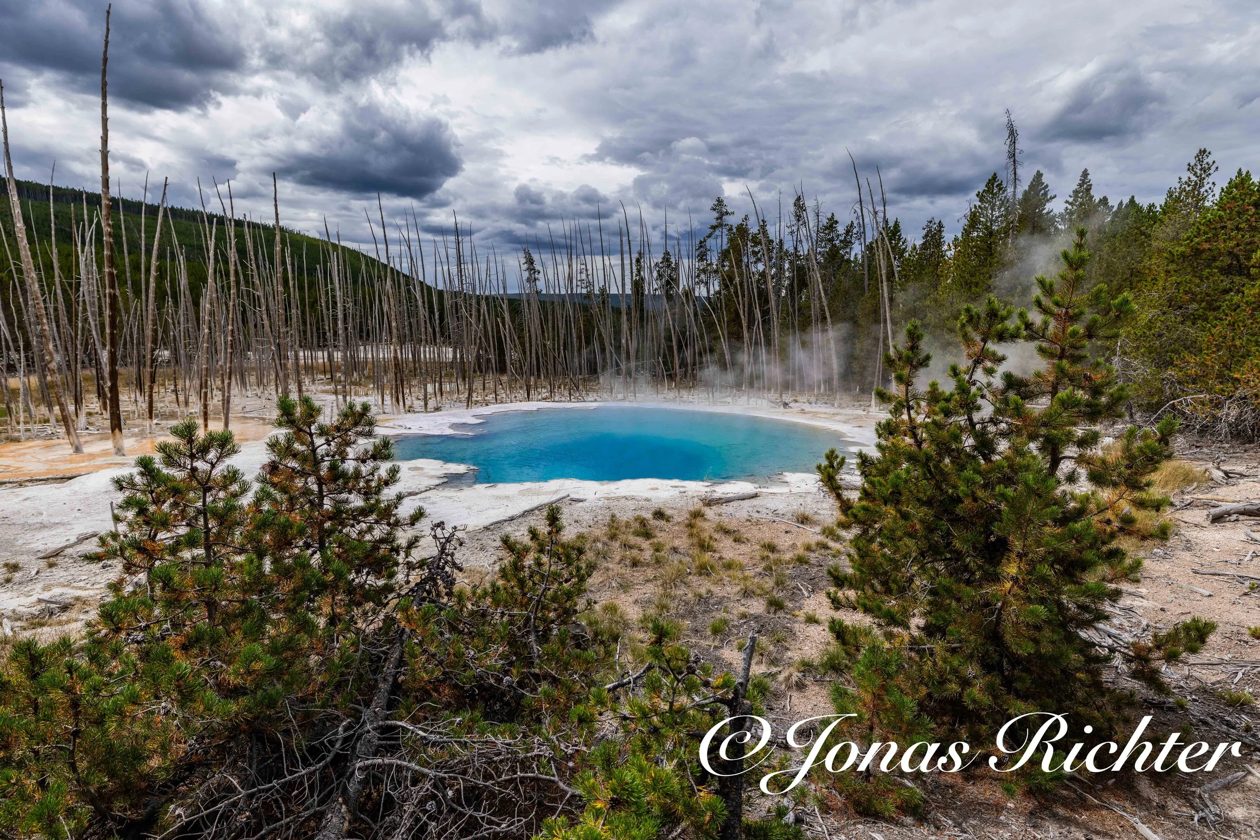 Cistern Spring, Norris Geyer Basin, Yellowstone National Park