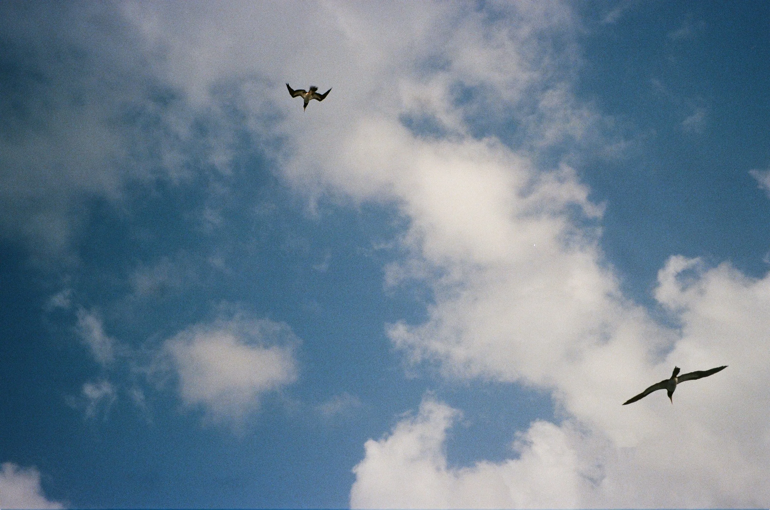 78270006.JPG