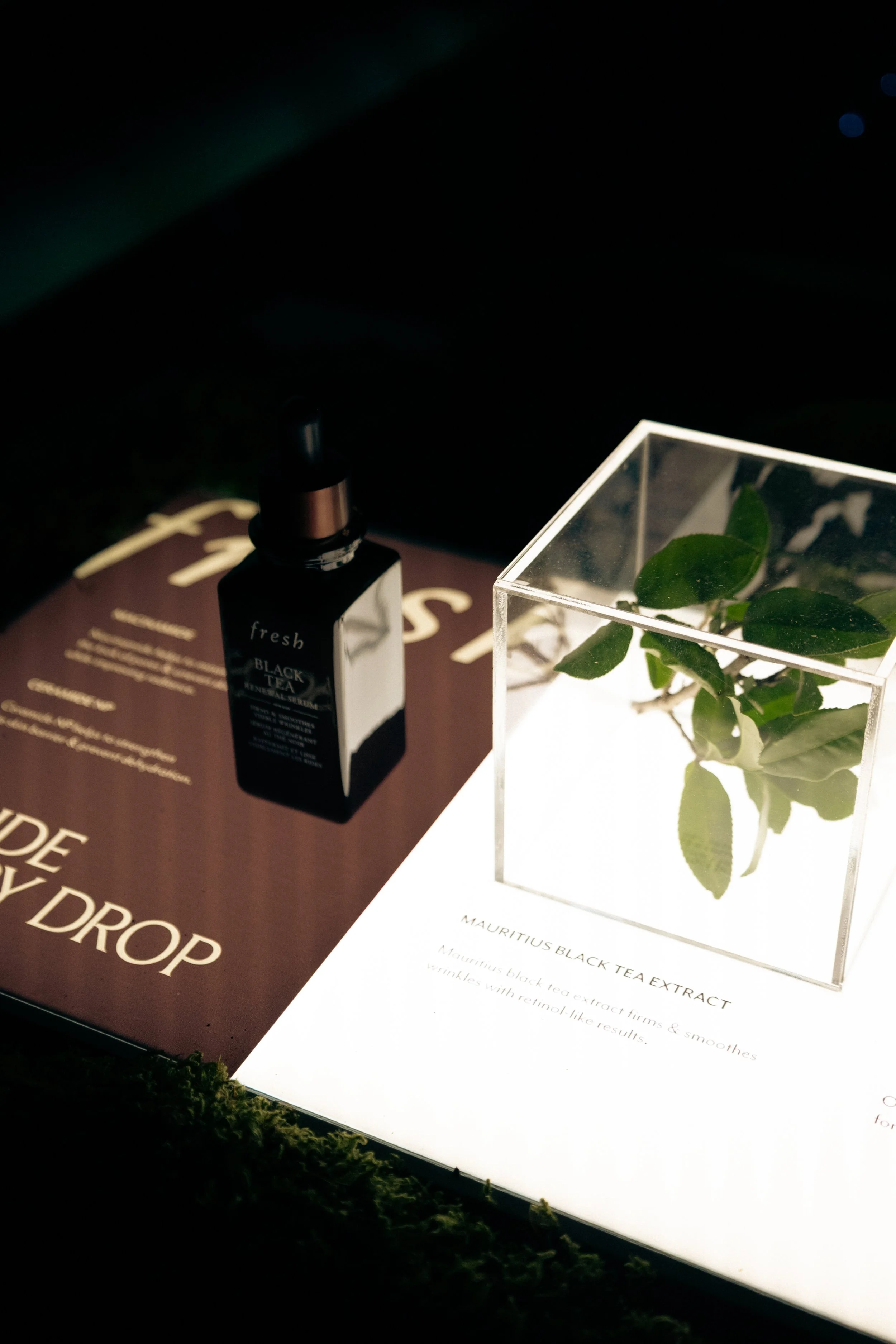 Wonu- FRESH DINNER-4.jpg