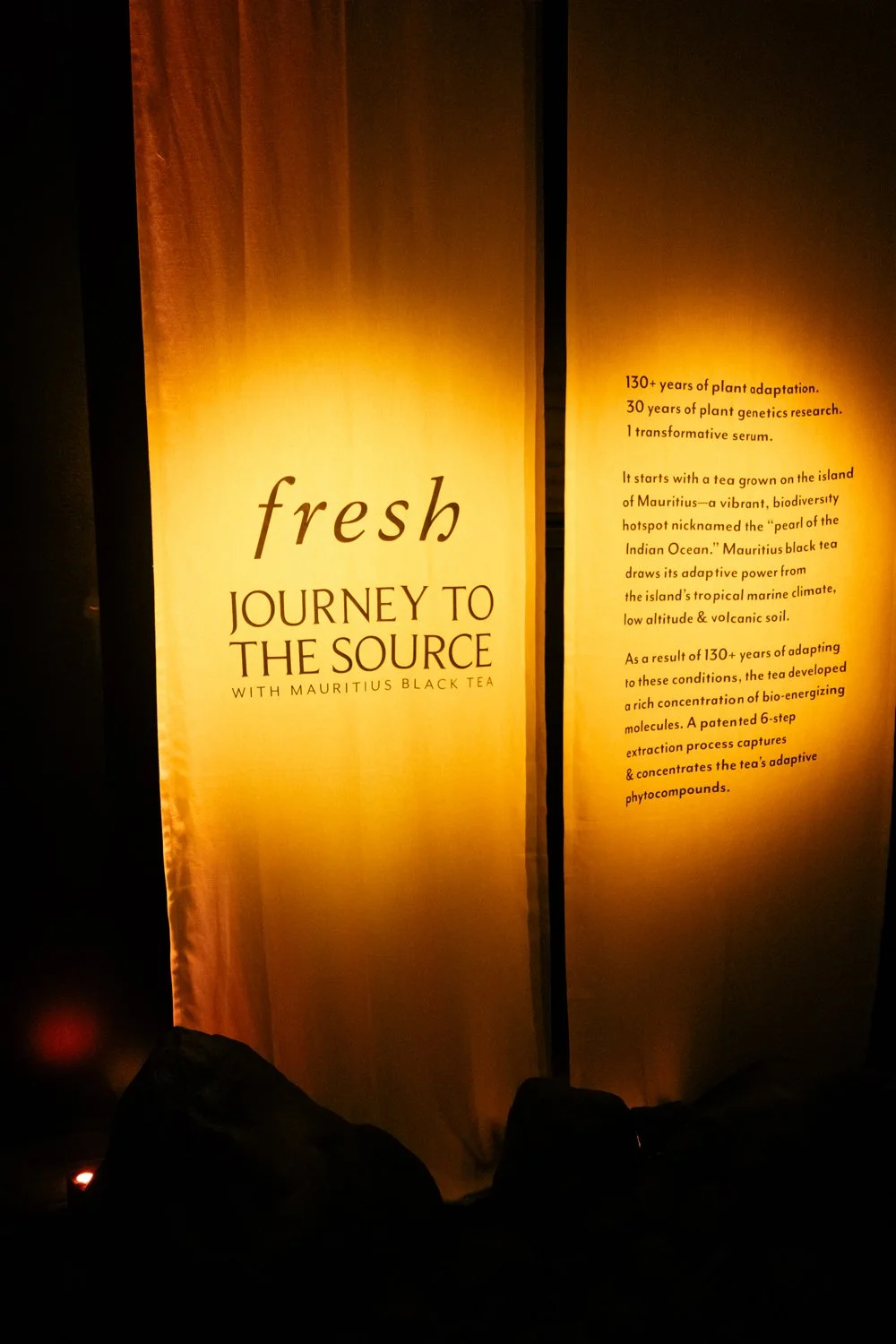 Wonu- FRESH DINNER-13.jpg