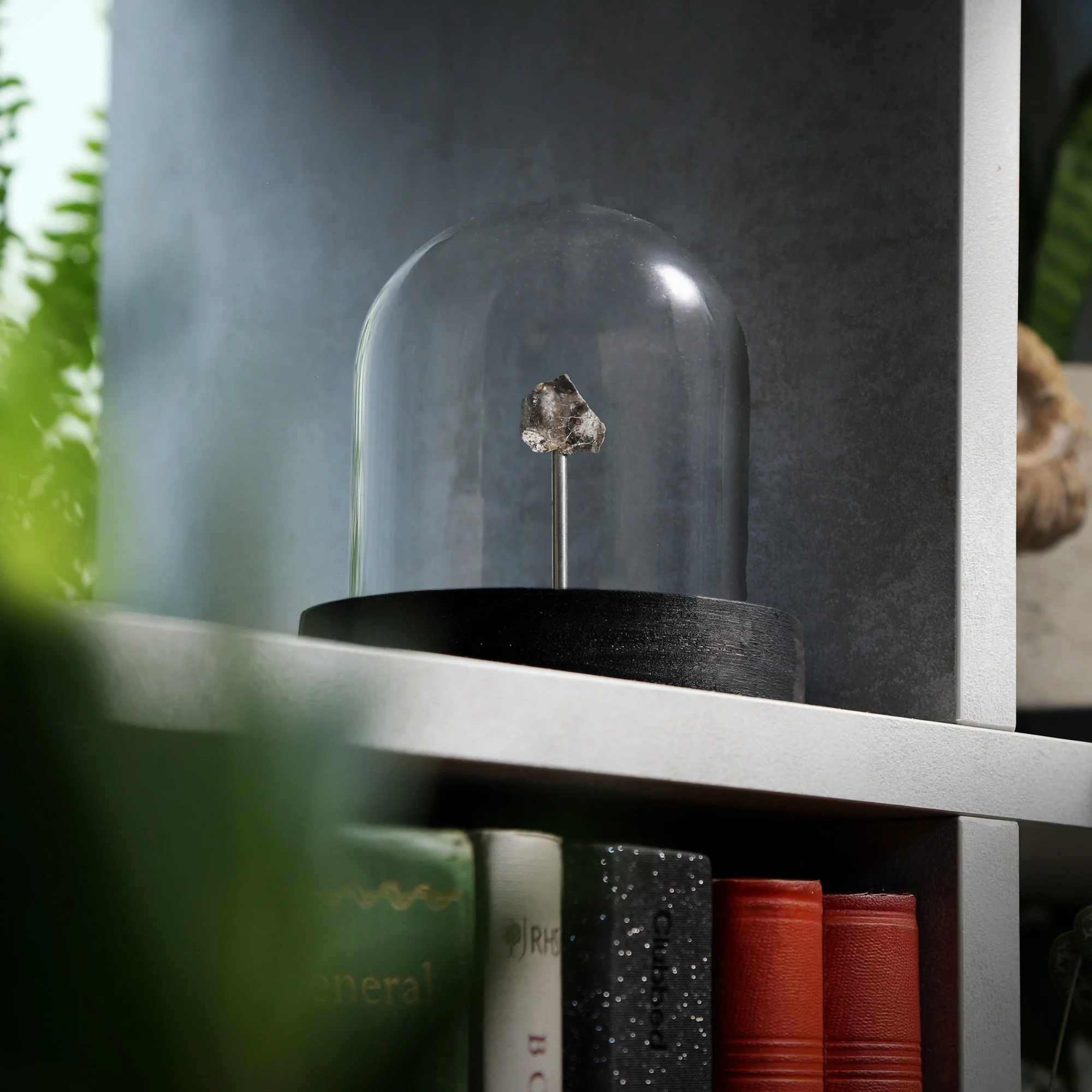 lunar-slice-bell-jar-10x10-2nd.jpg