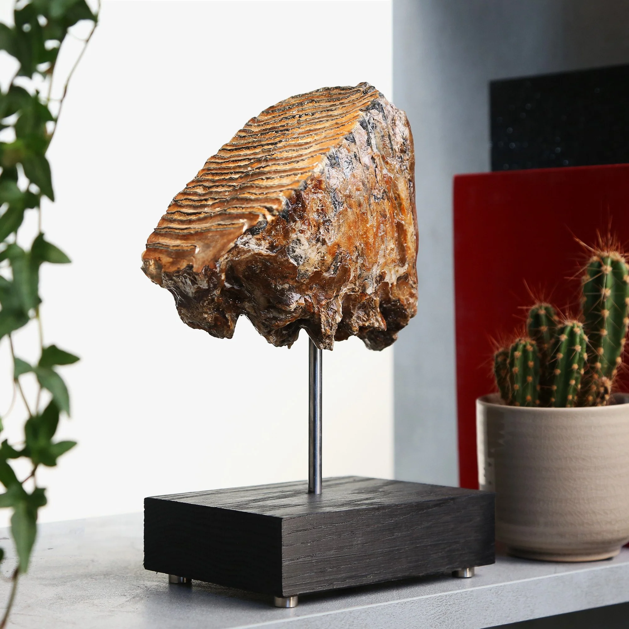 wooly-mammoth-tusk-2.jpg