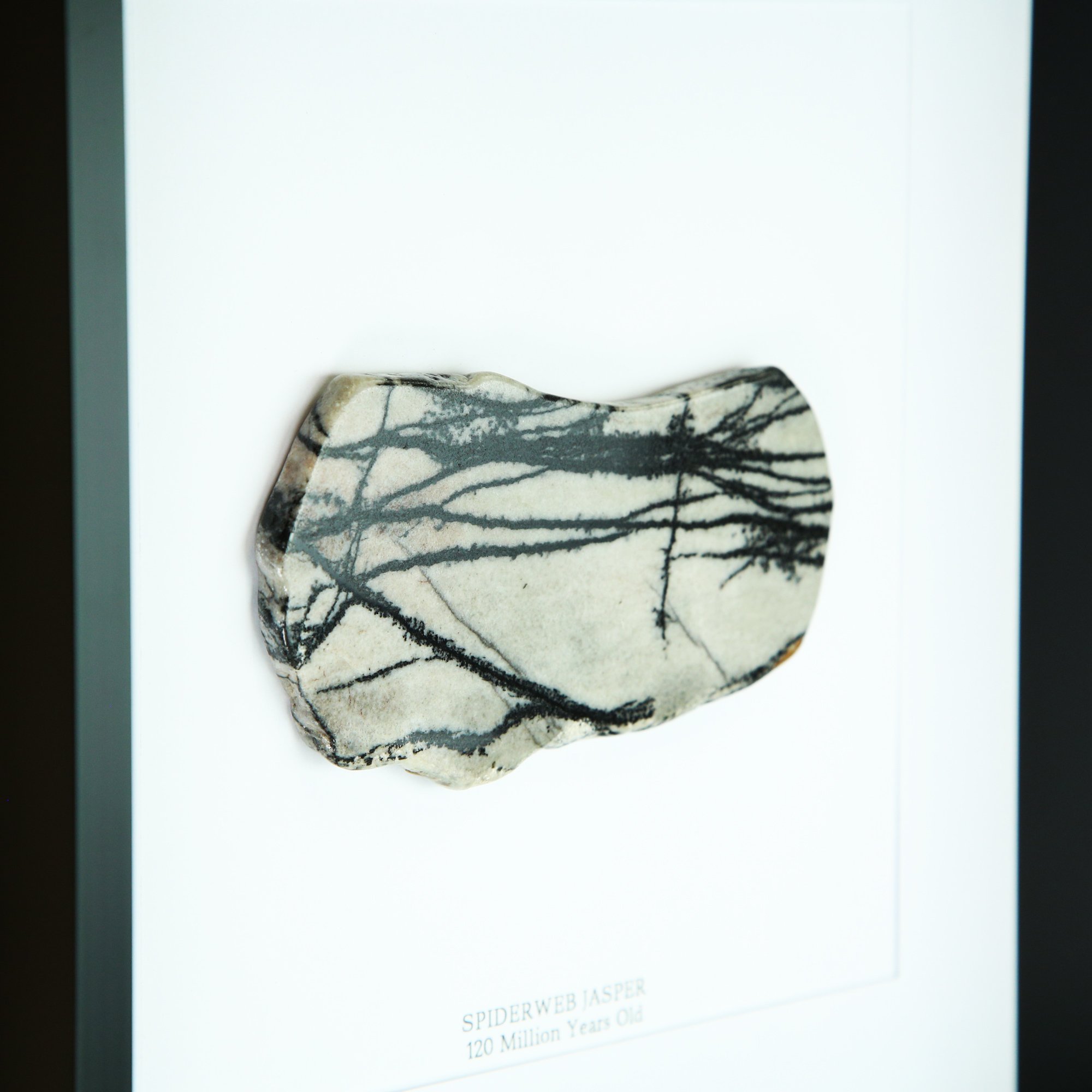 spiderweb-jasper.jpg