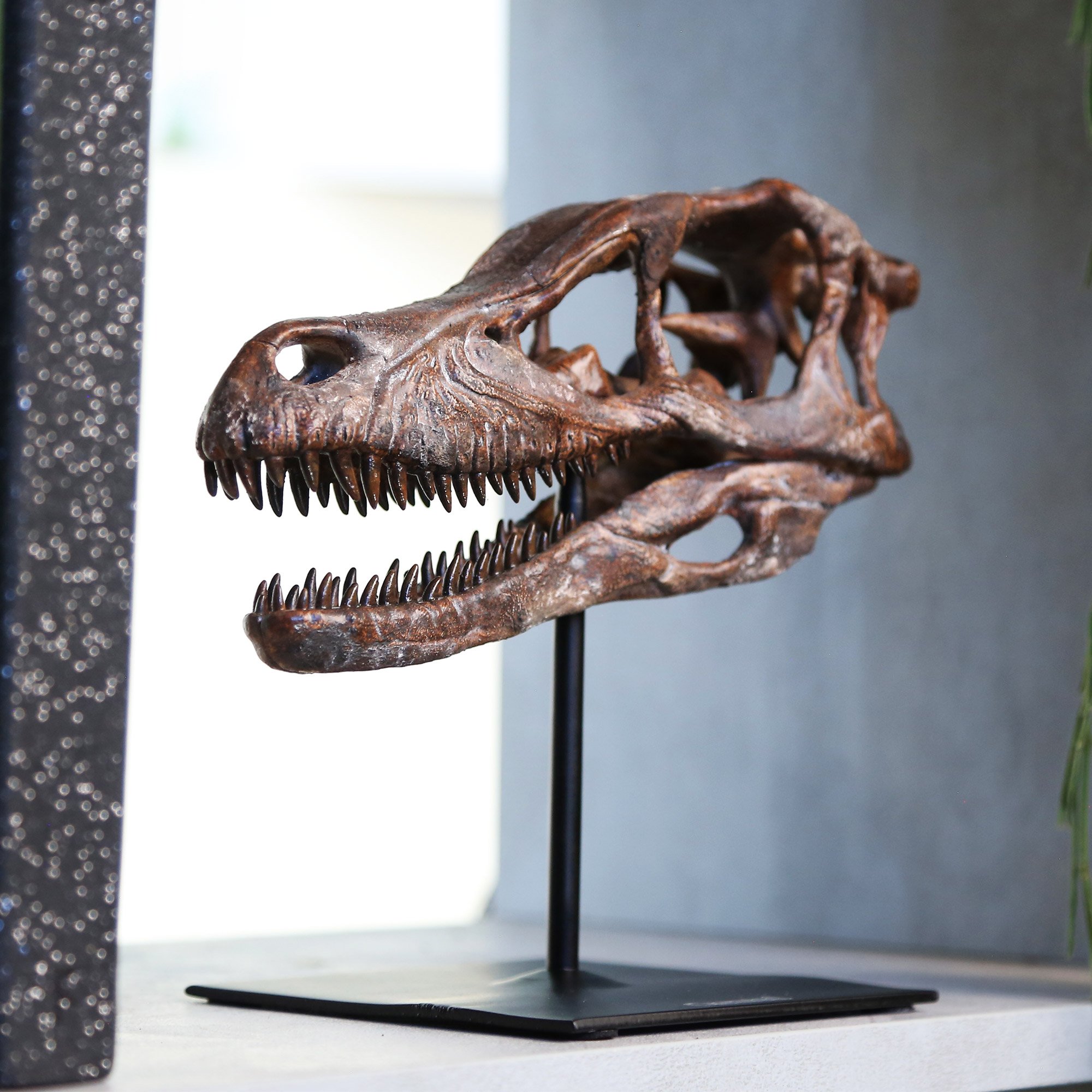 velociraptor-ewre.jpg