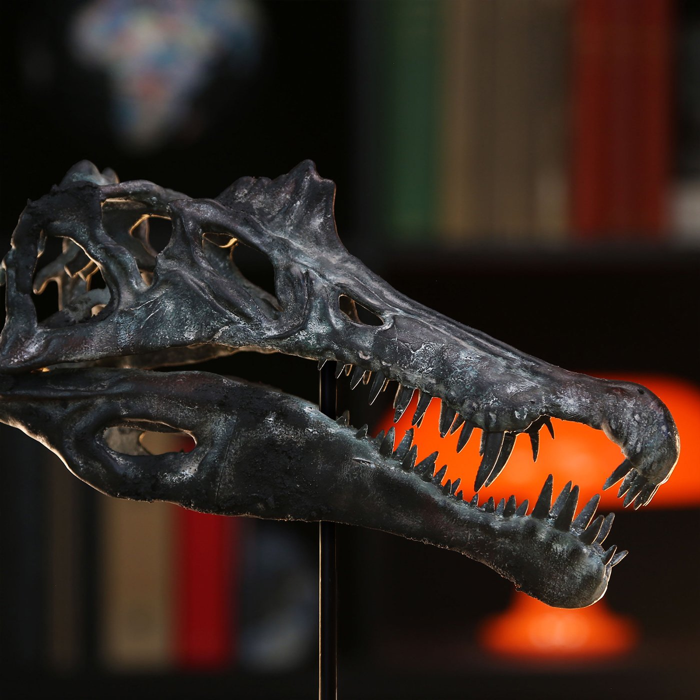 spino-support-2025-.jpg
