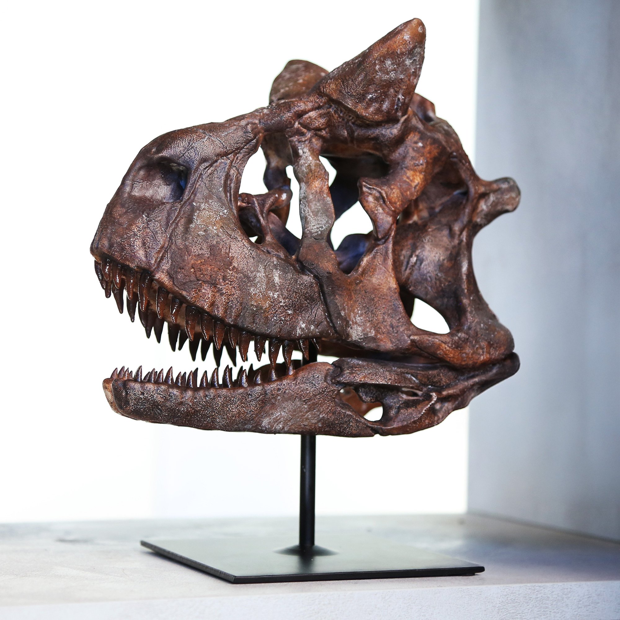 carnotosaurus.jpg