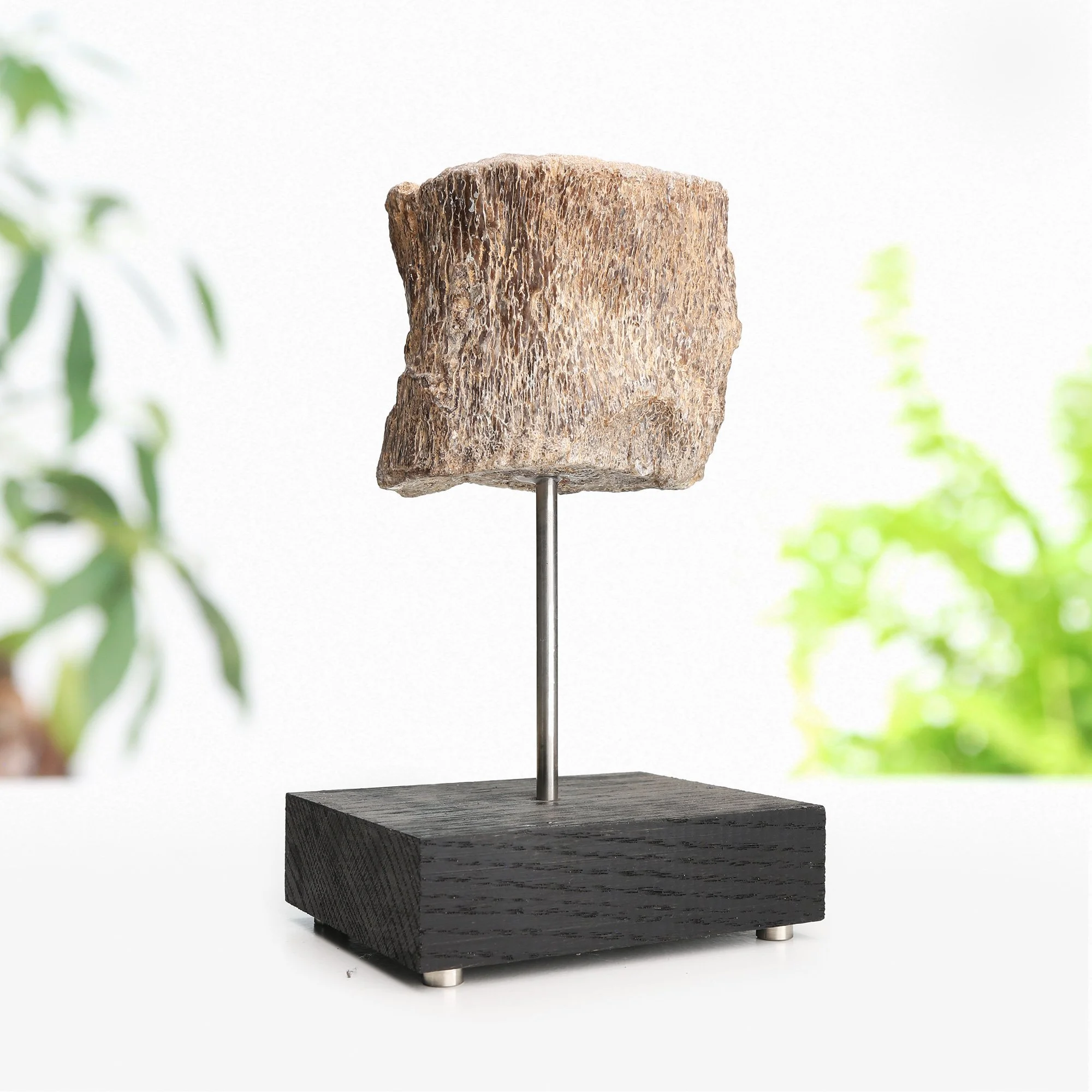 plesiosaur-bone.jpg